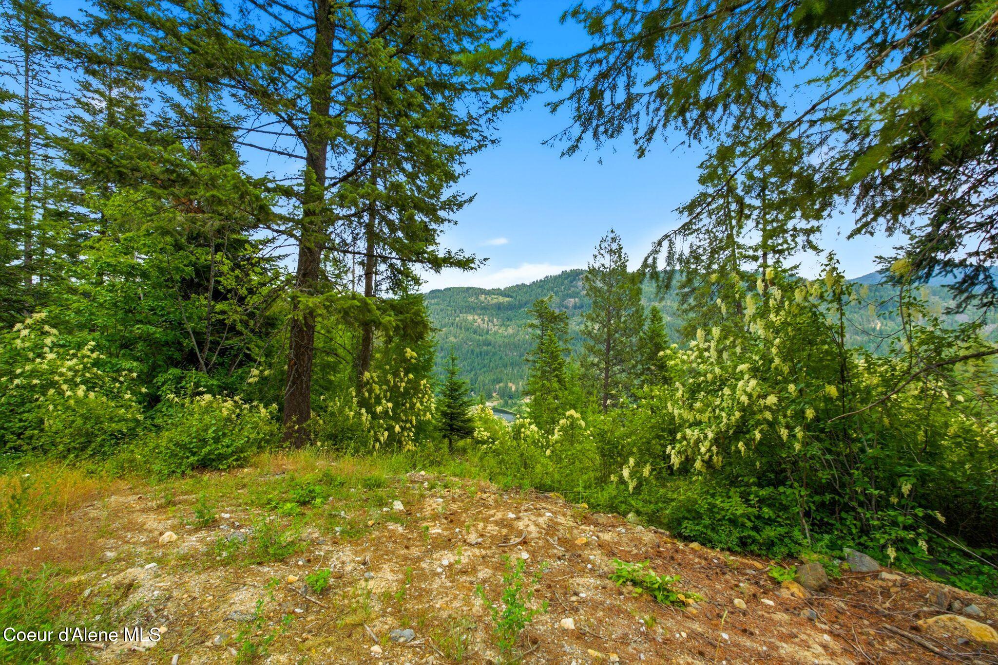 G10 Forest Highland