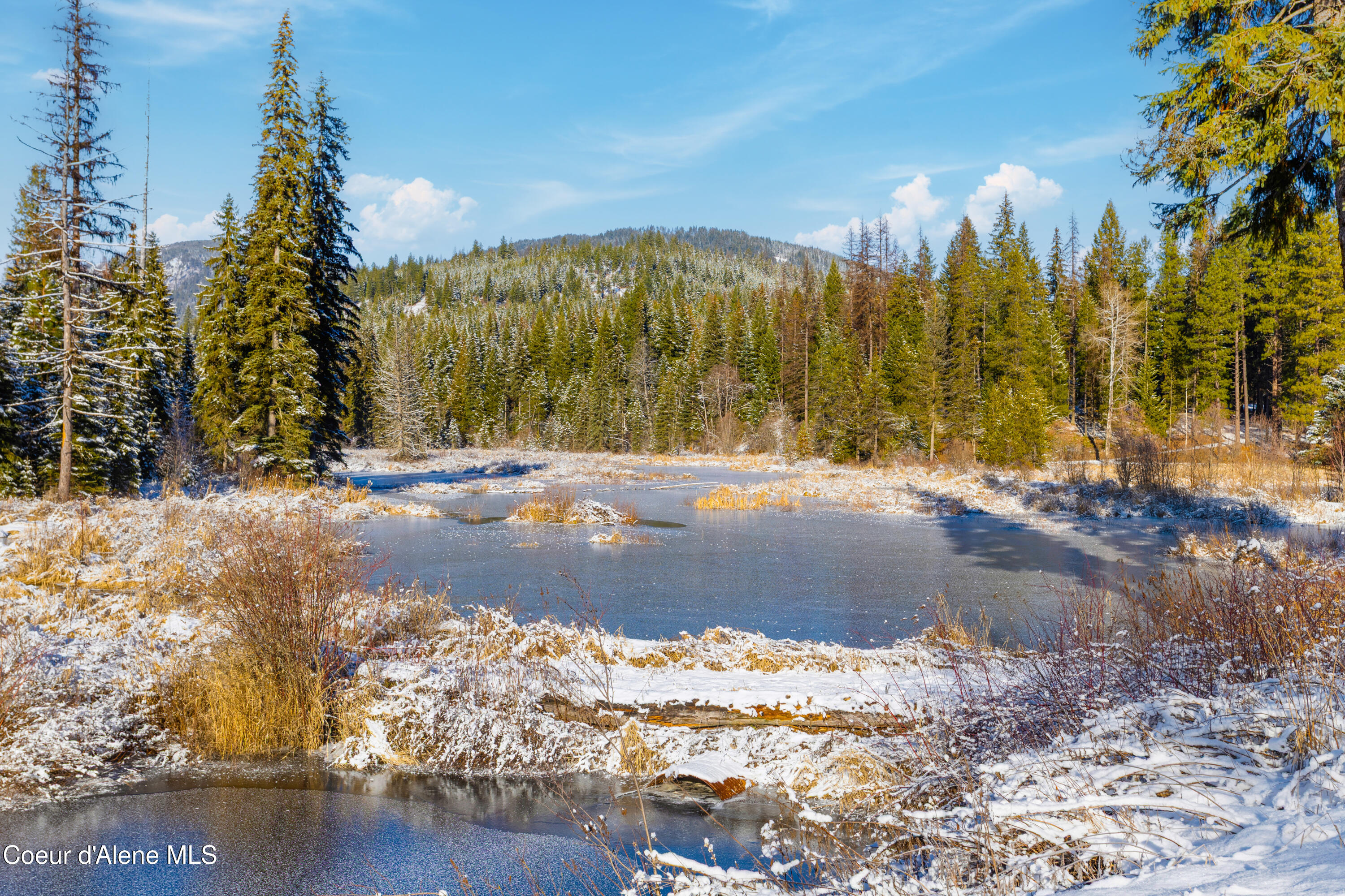 533739 U.S. 95 - 228 Acres