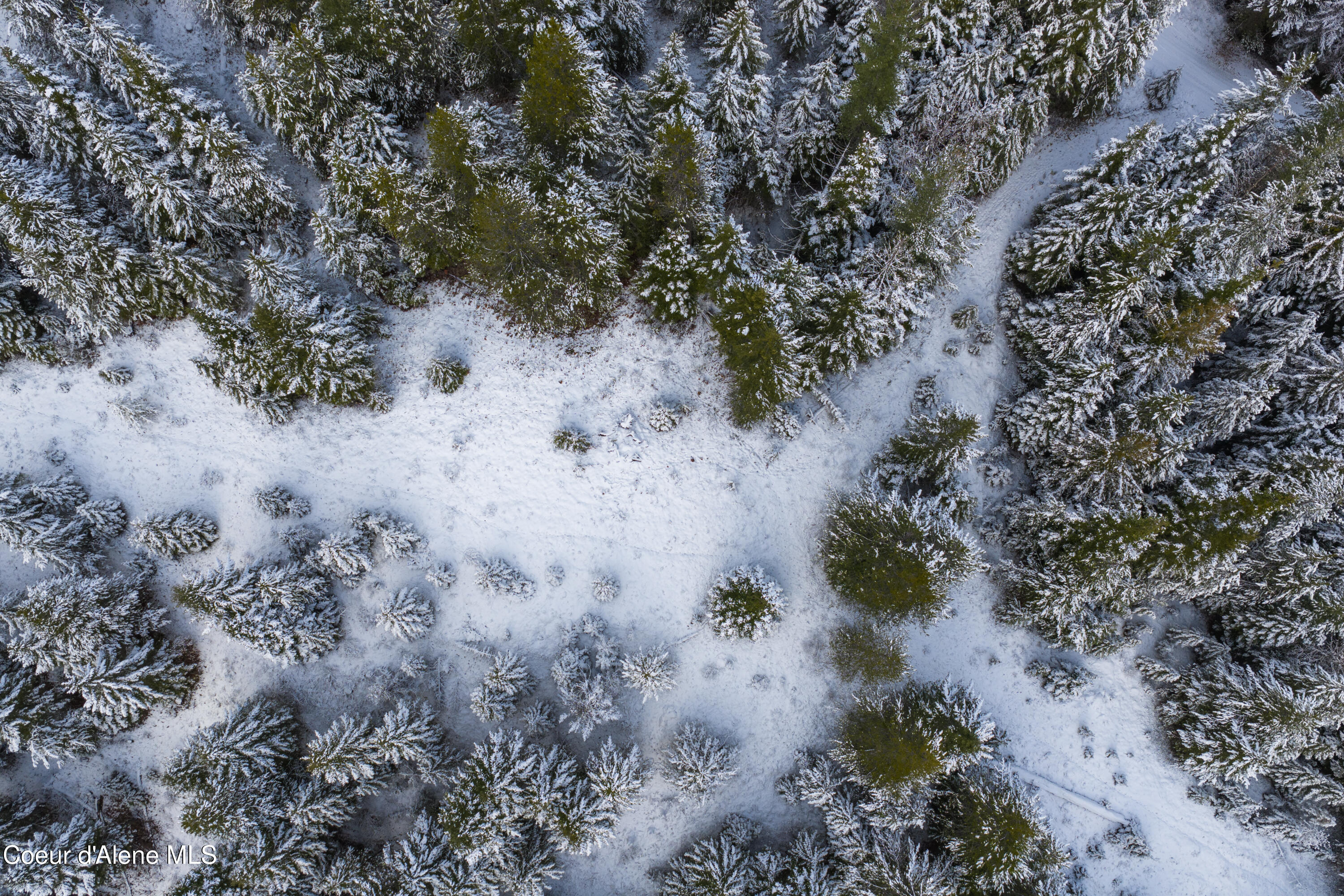 533739 U.S. 95 - 75 Acres