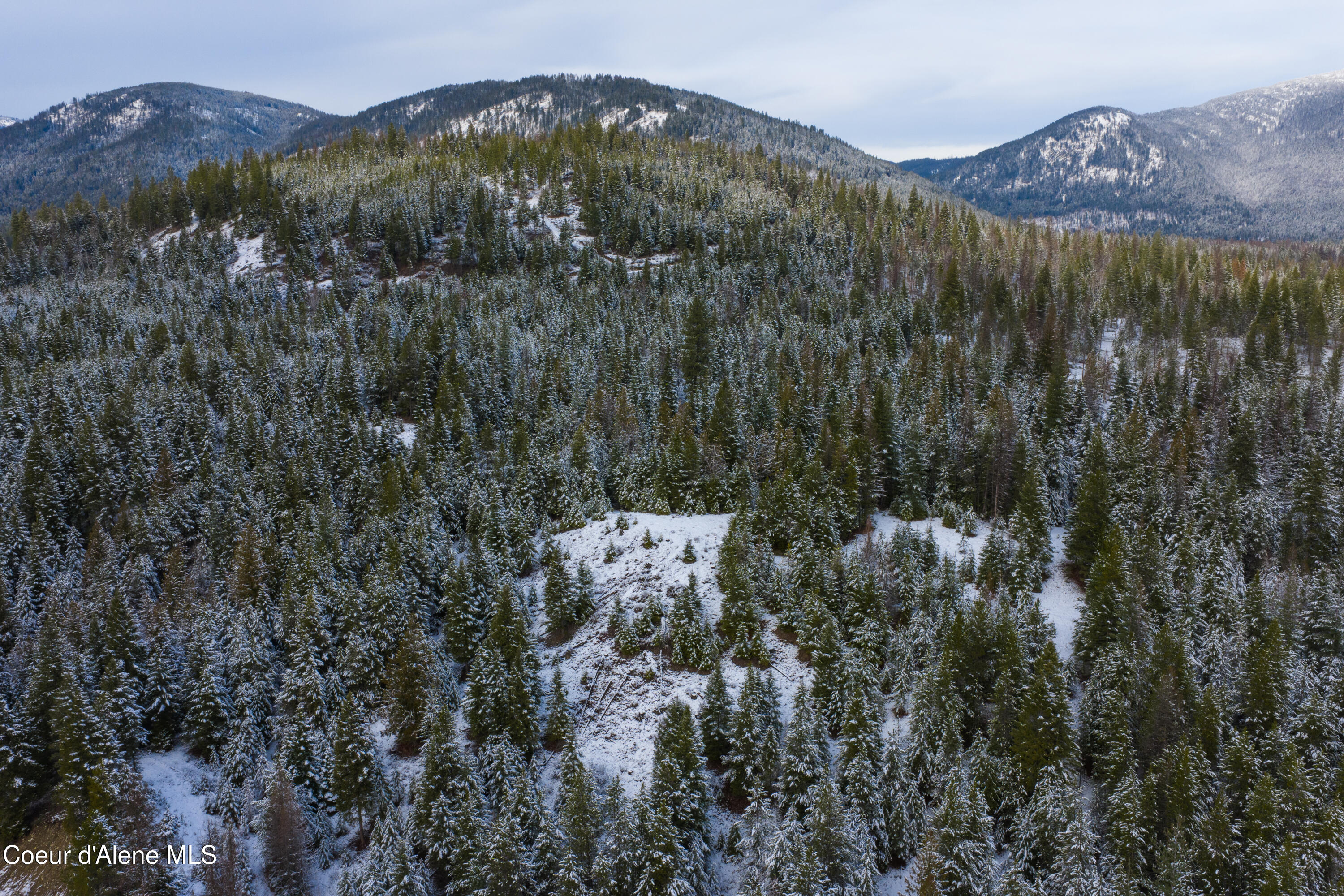 533739 U.S. 95 - 75 Acres