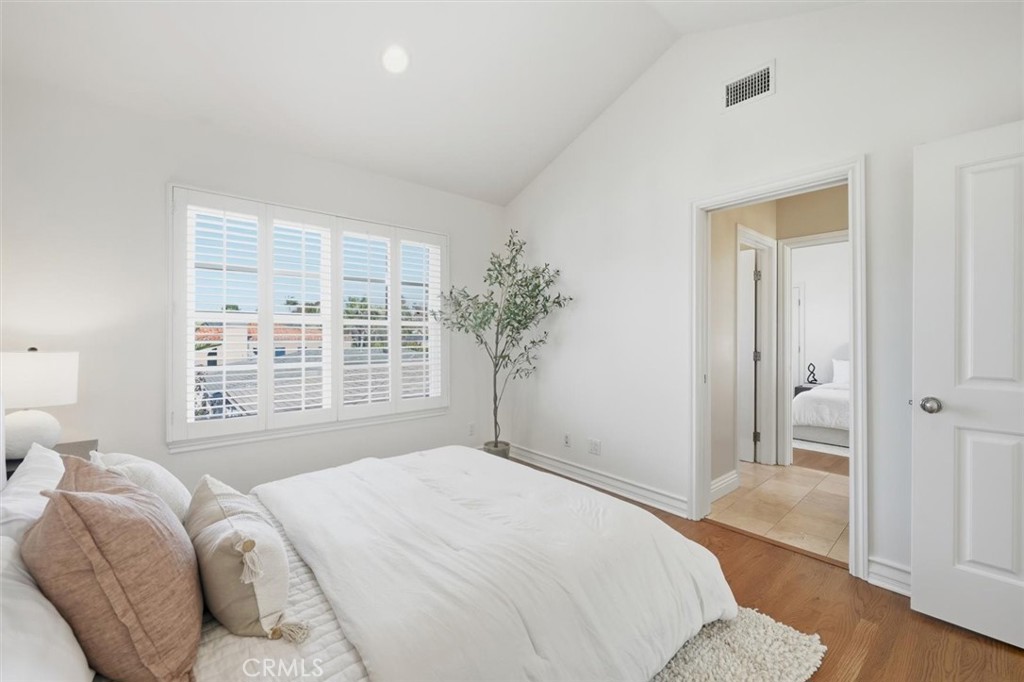 2909 Maple