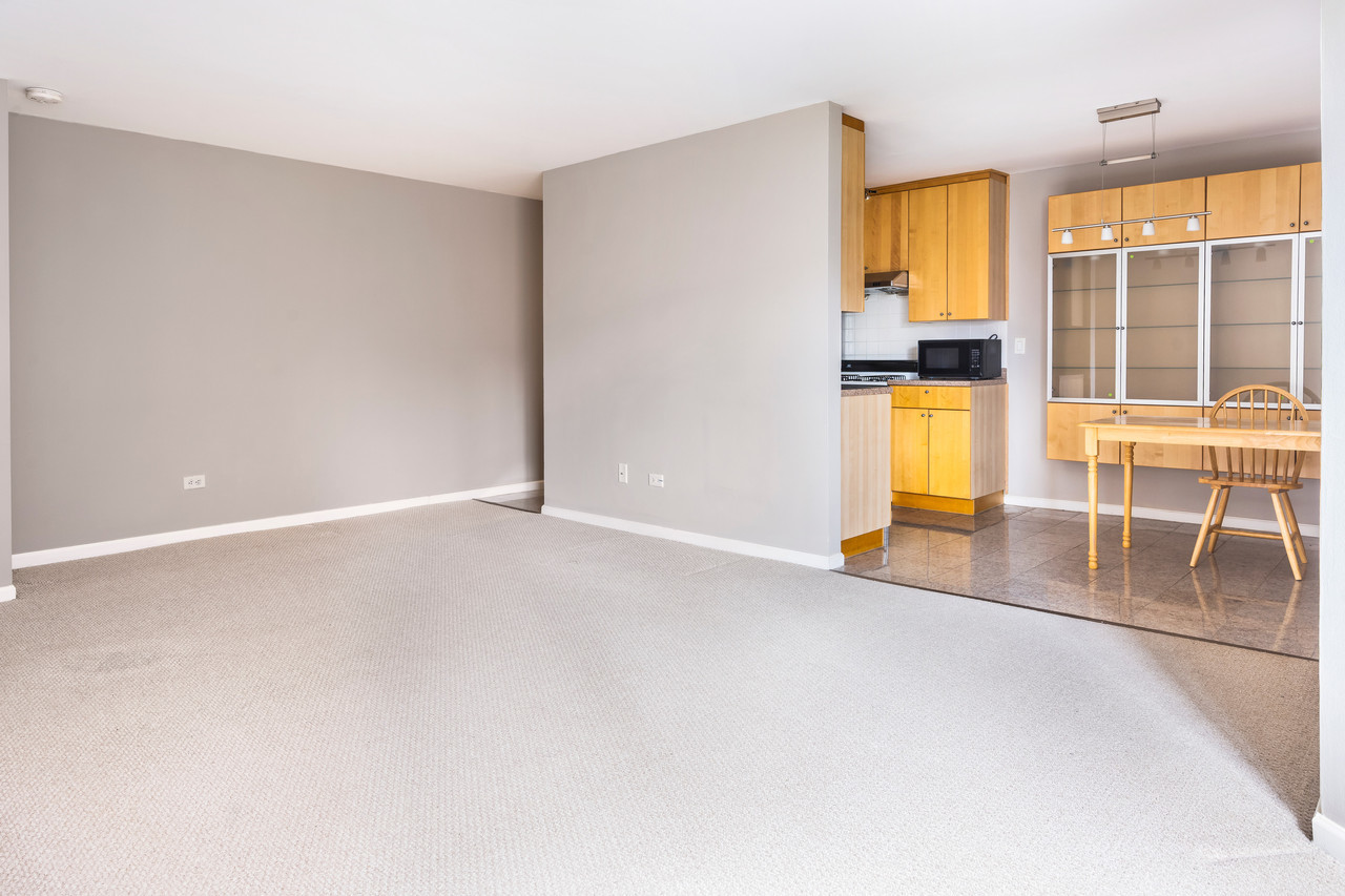 5100 N Sheridan Road Unit: 304