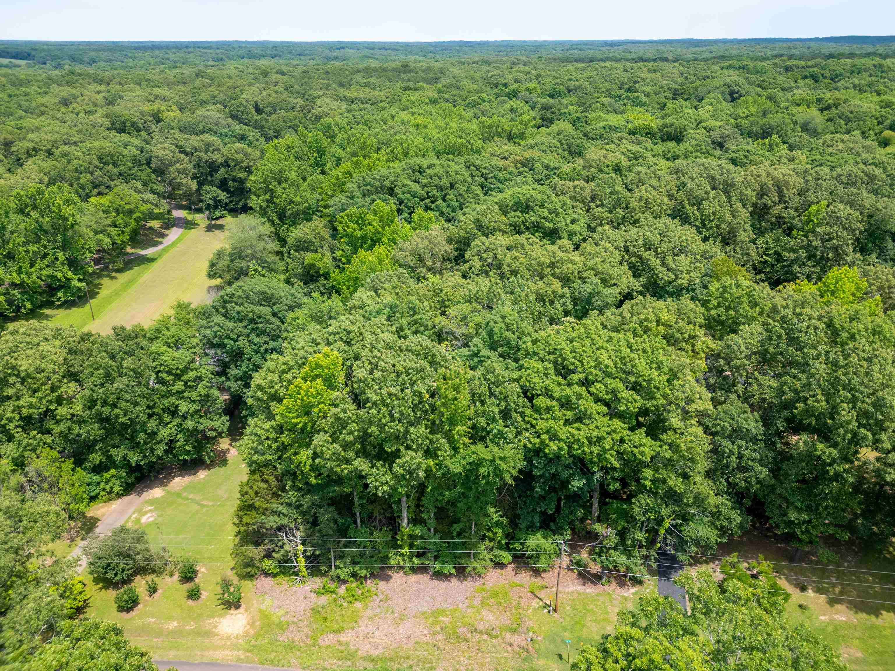LOT 1 BEECH LOOP