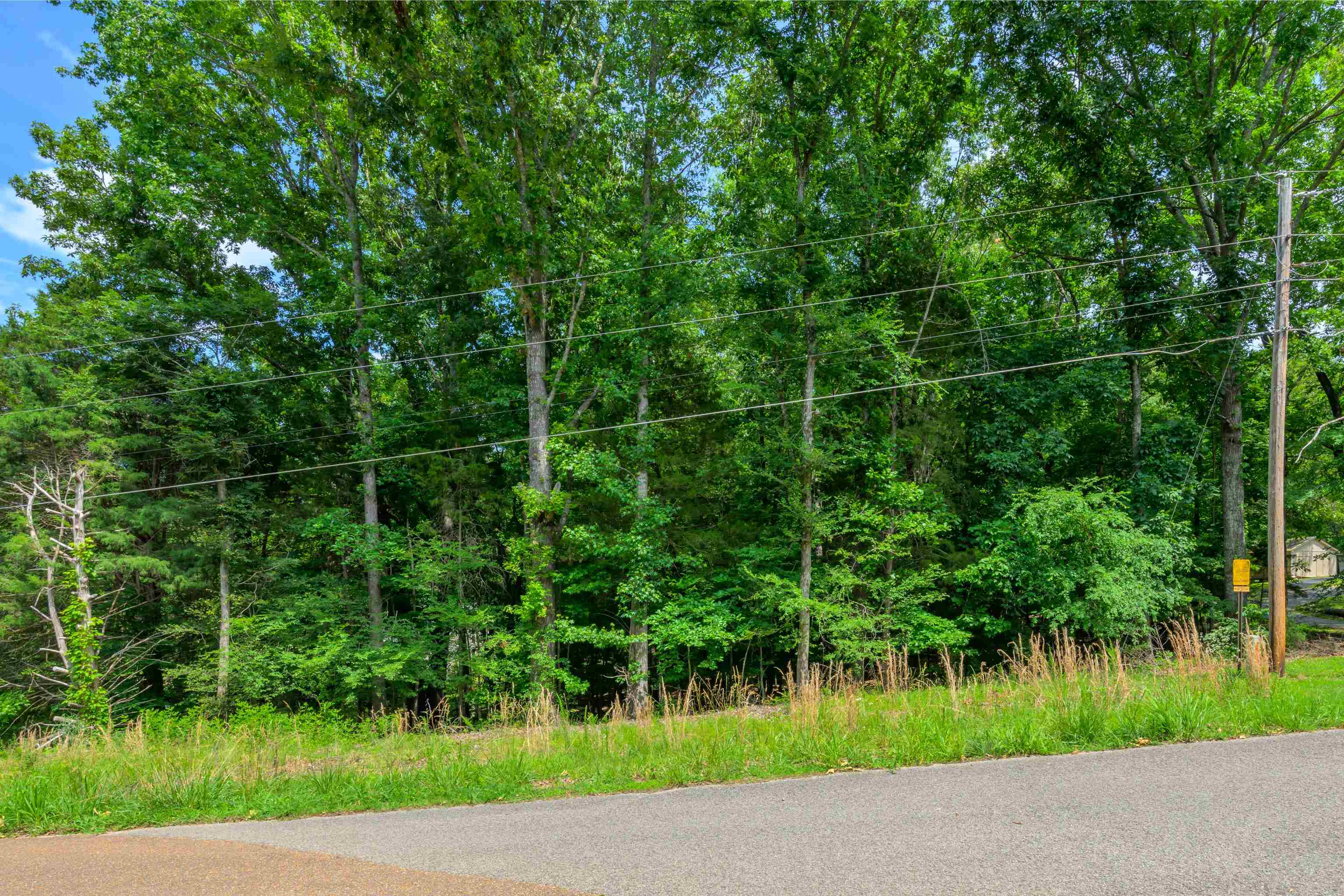 LOT 1 BEECH LOOP