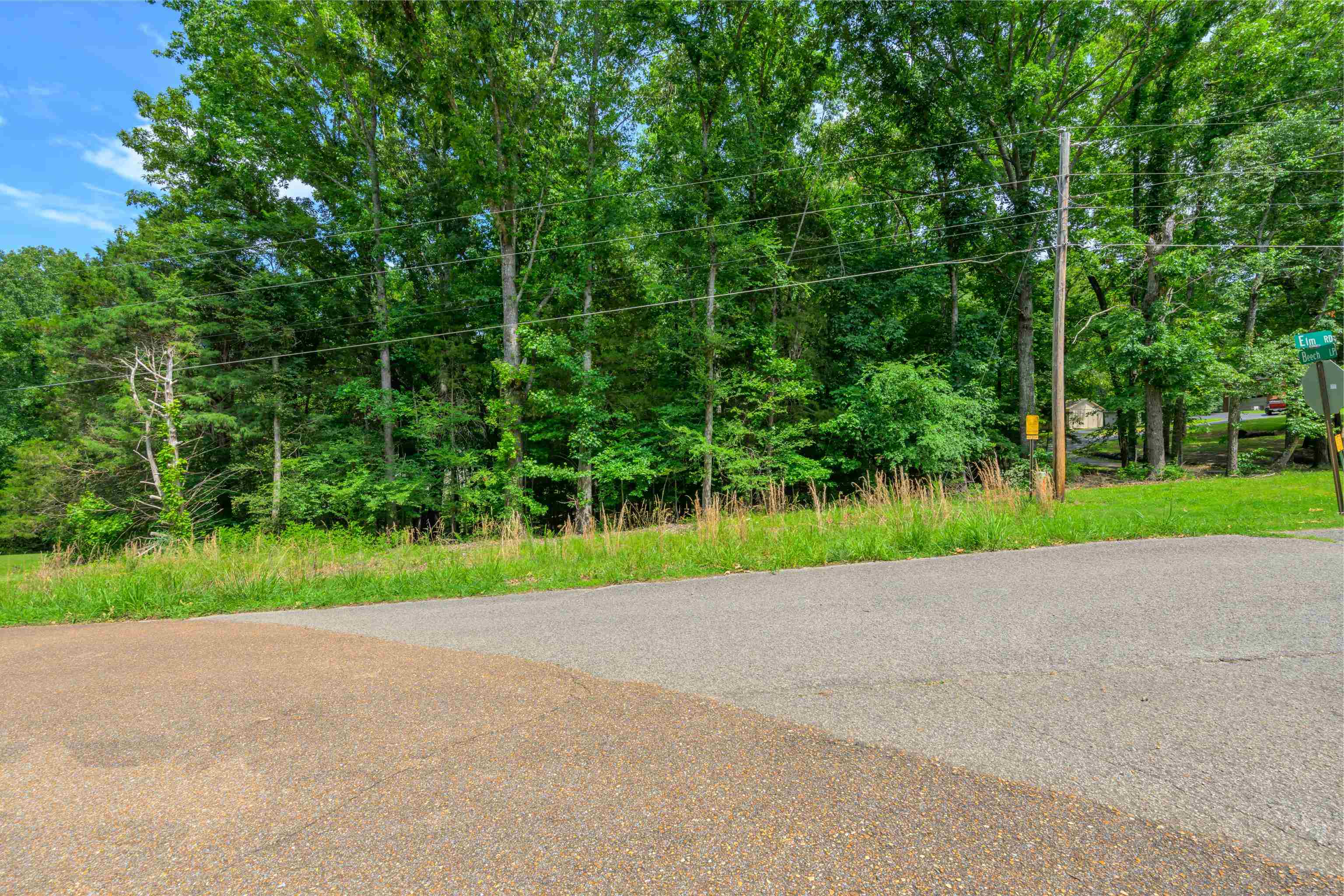 LOT 1 BEECH LOOP