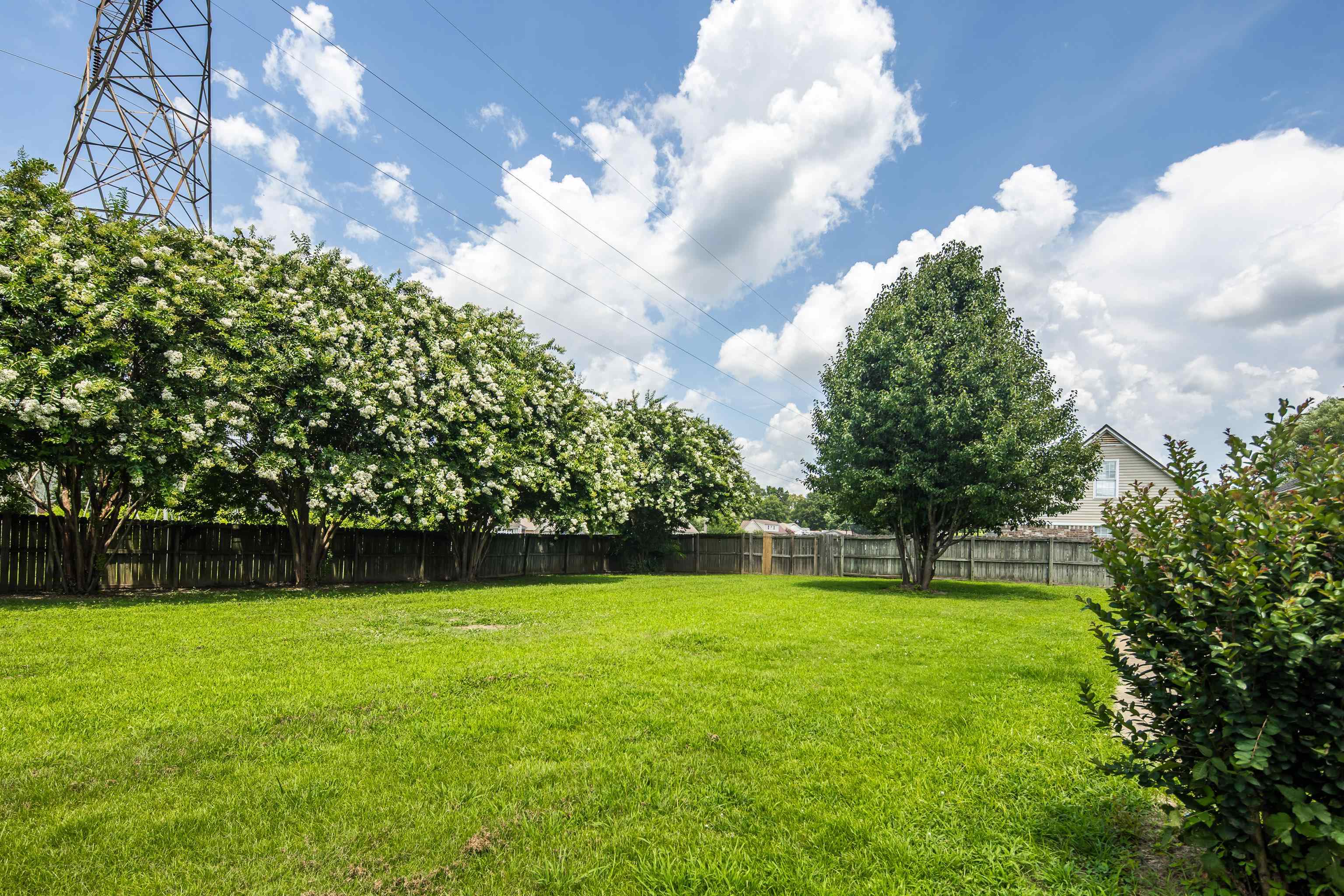 11 WOODSHIRE LN
