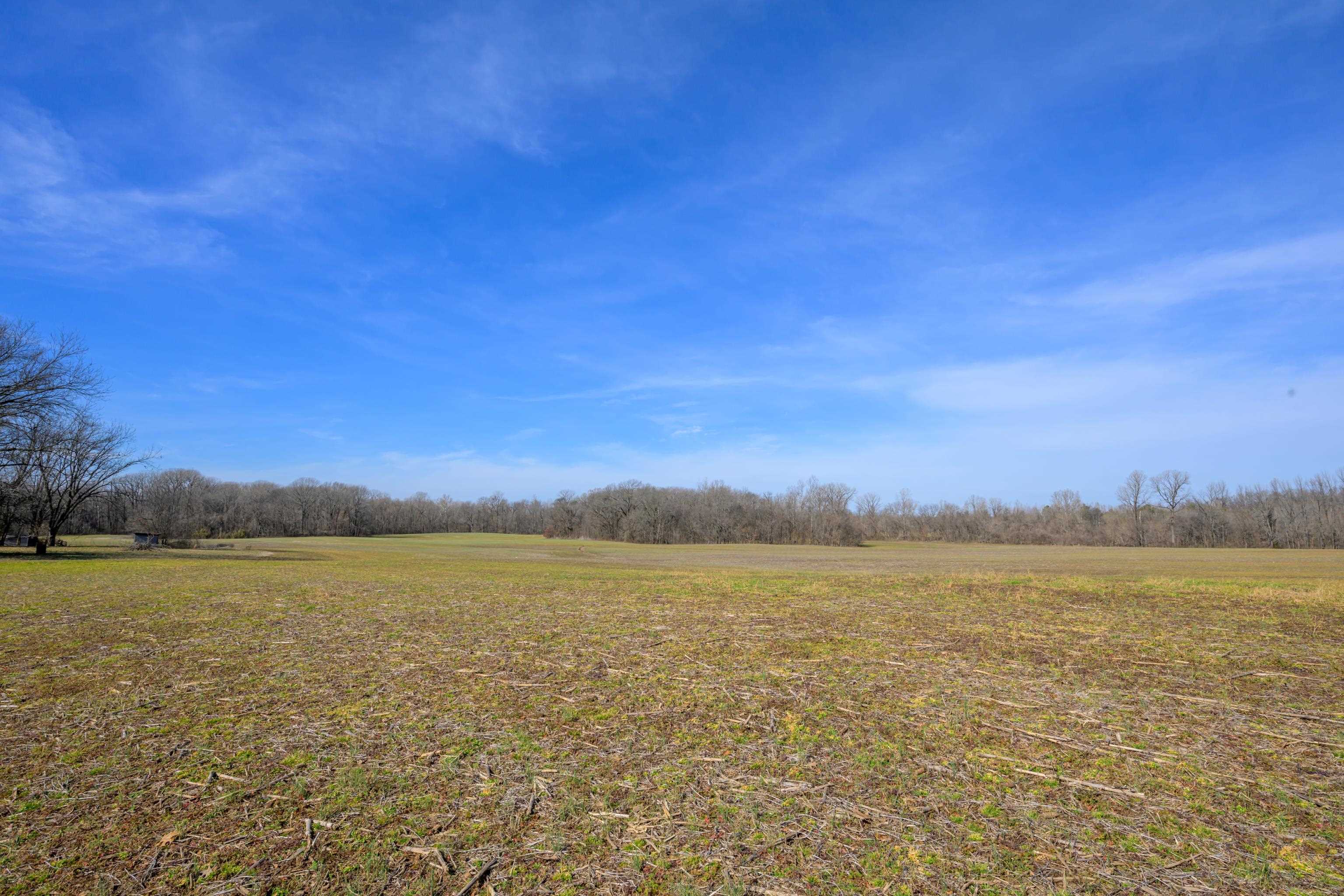 TRACT 2- MONTGOMERY RD