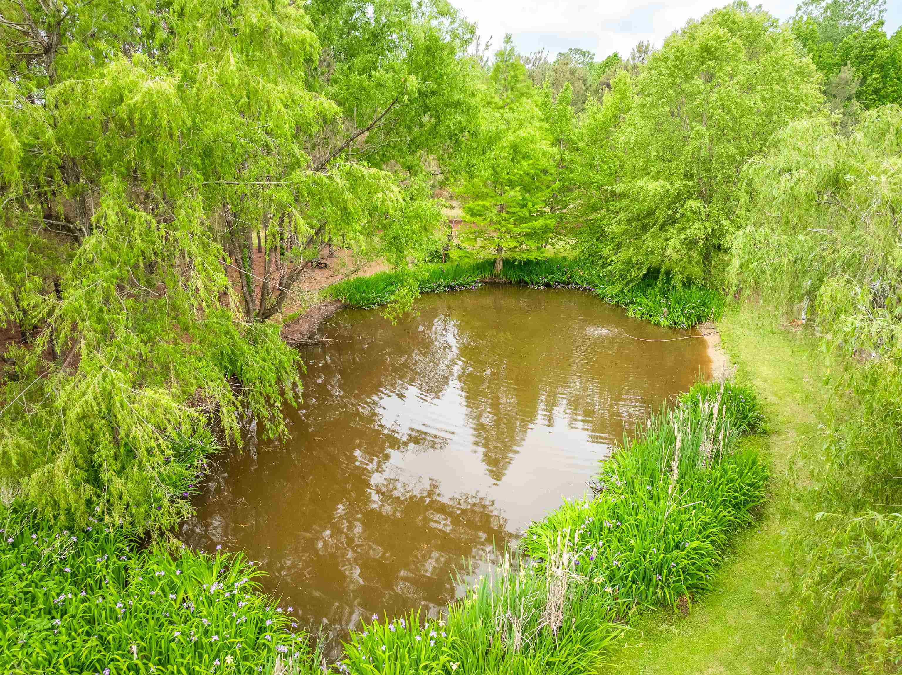 1095 CULBREATH RD