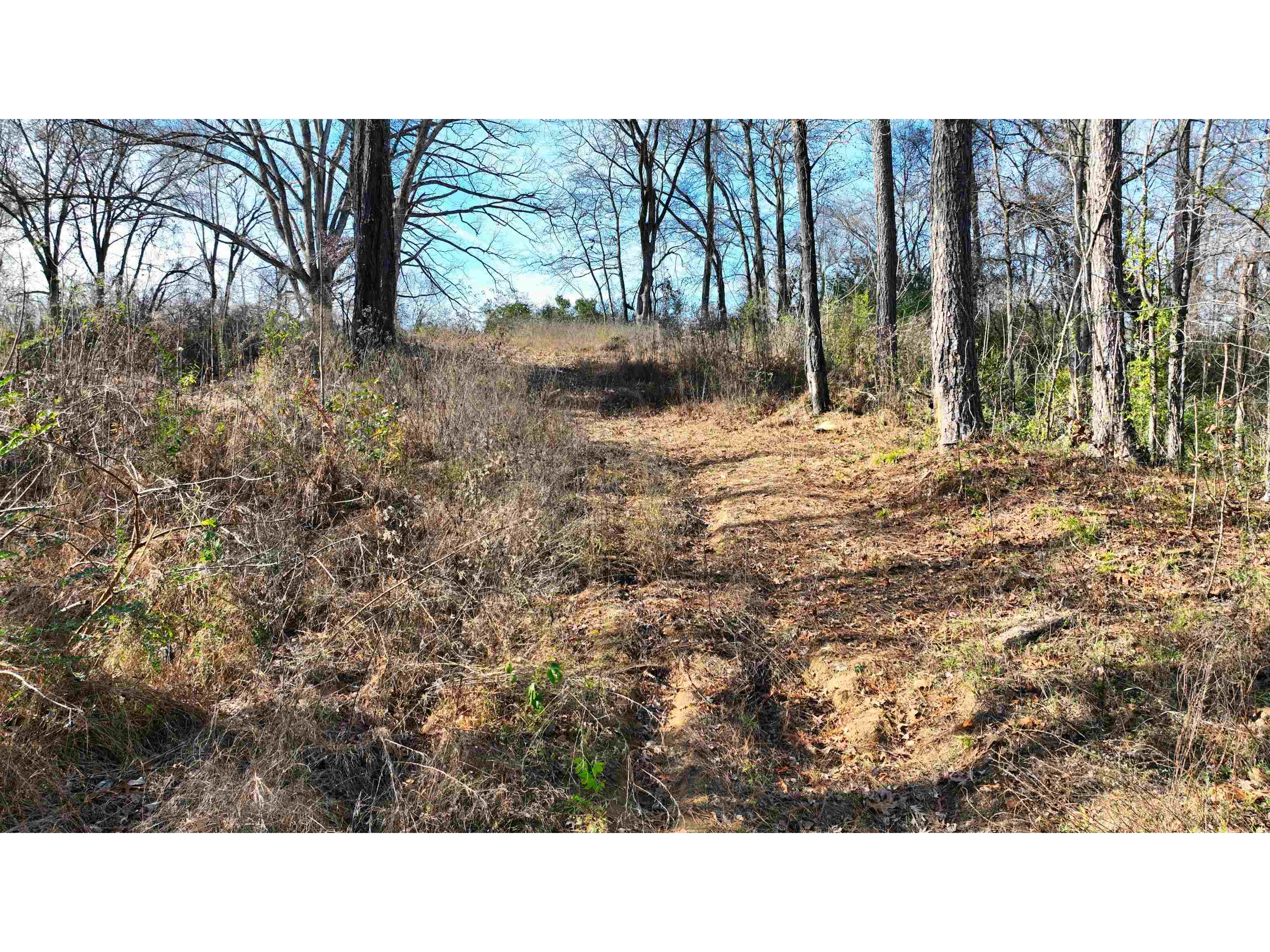 MUNFORD GILTEDGE RD