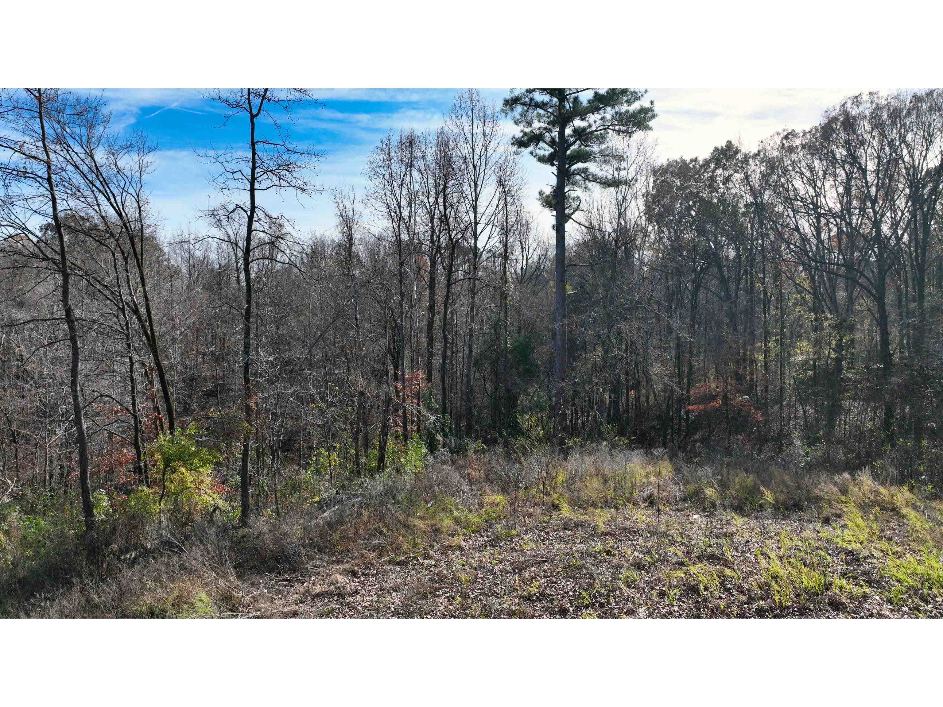 MUNFORD GILTEDGE RD