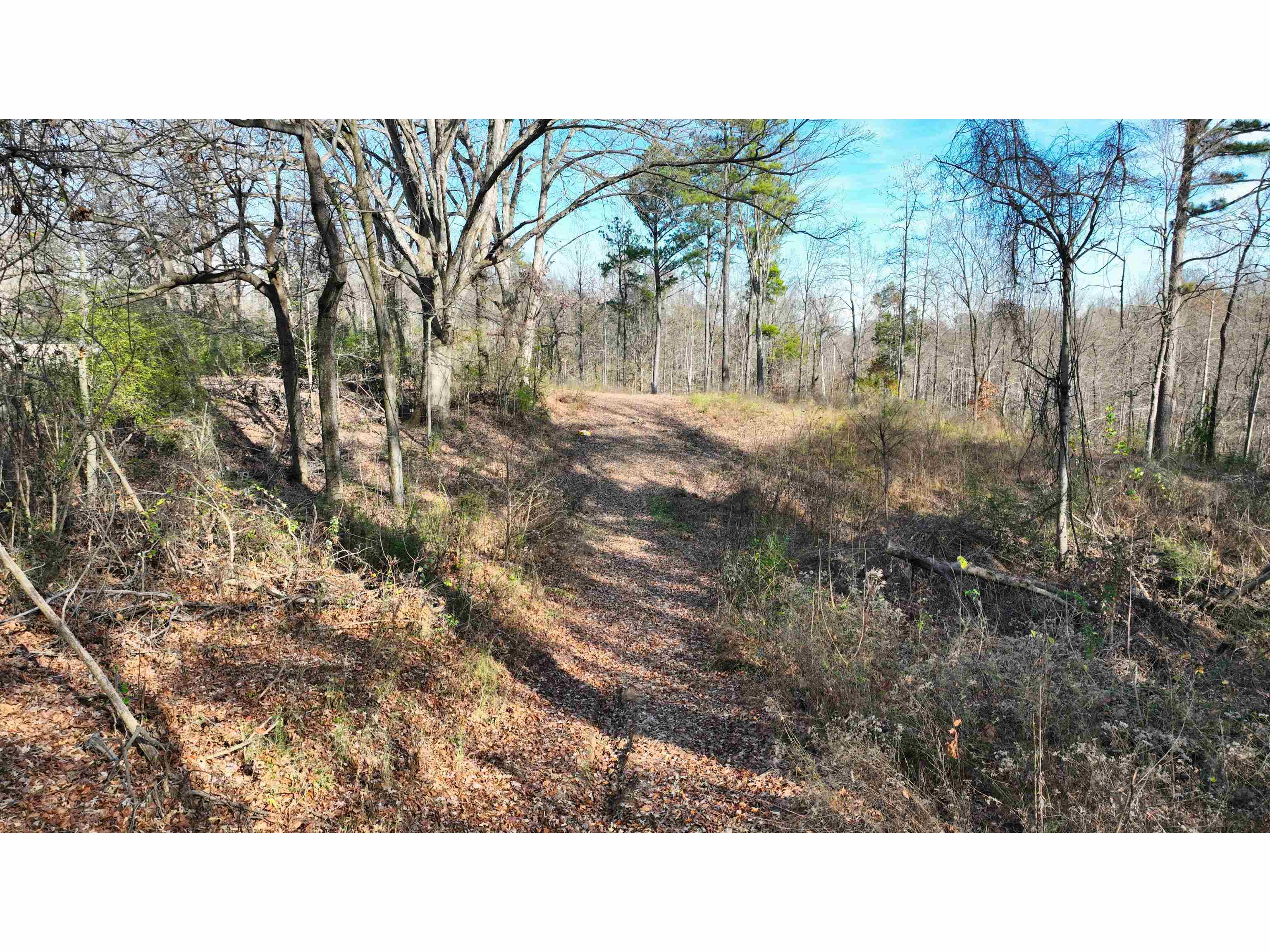MUNFORD GILTEDGE RD