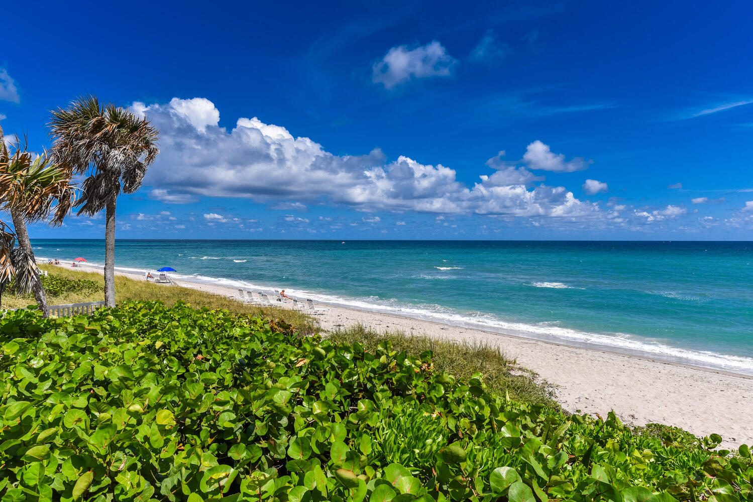 99 SE Mizner Boulevard Ph 909