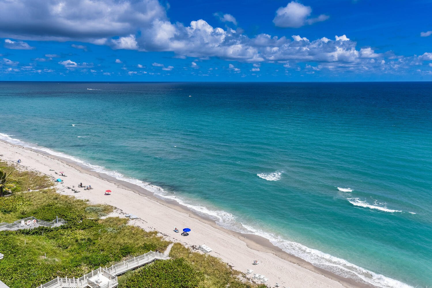 99 SE Mizner Boulevard Ph 909