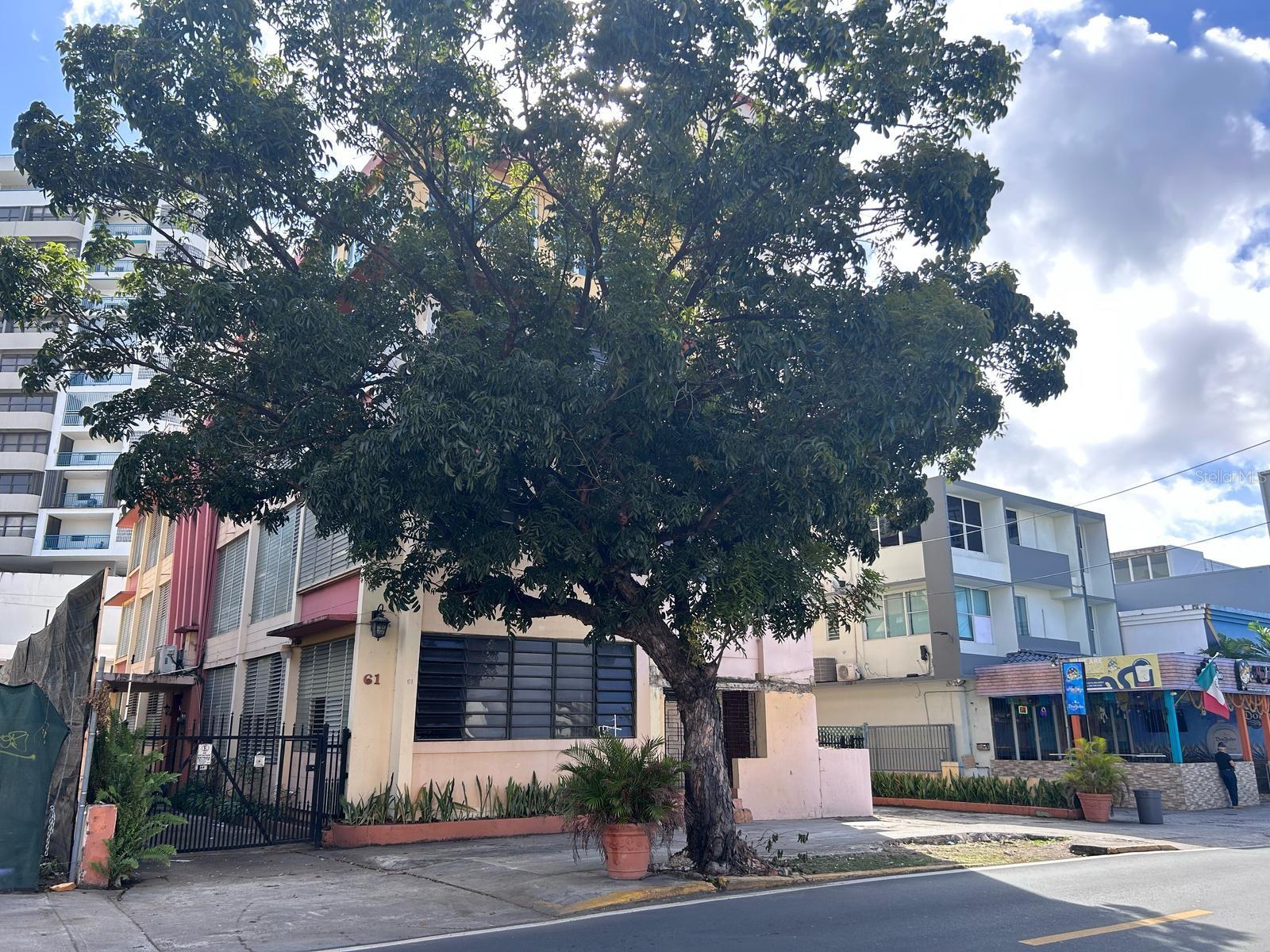 61 LUISA ST #2B