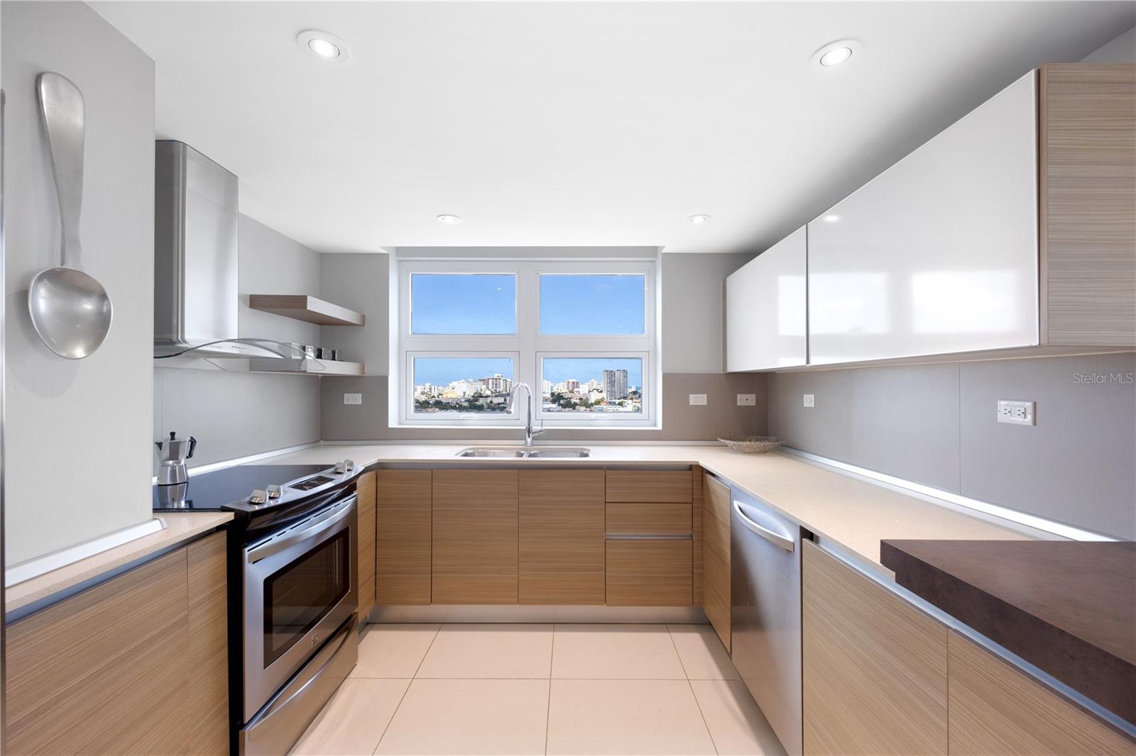 48 MUÑOZ RIVERA AVE #2203