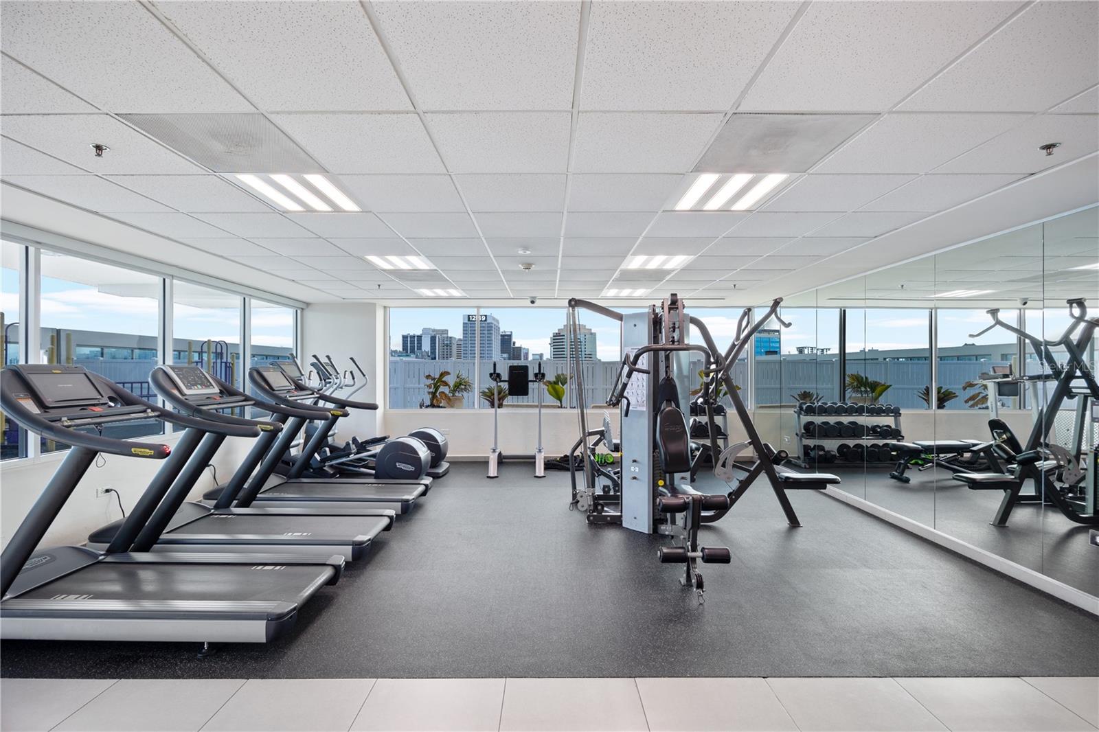 48 MUÑOZ RIVERA AVE #2203