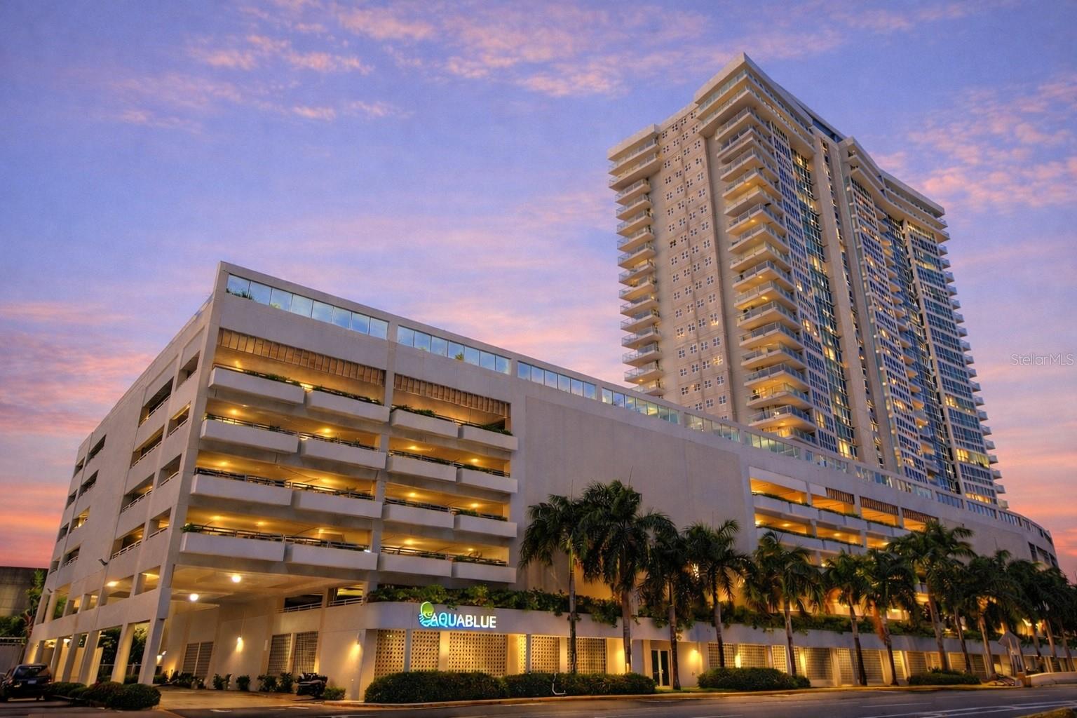 48 MUNOZ RIVERA AVE #2104