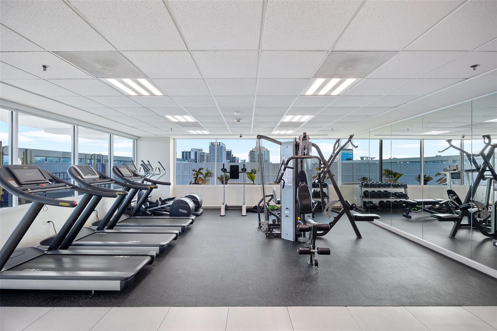 48 MUNOZ RIVERA AVE #2104