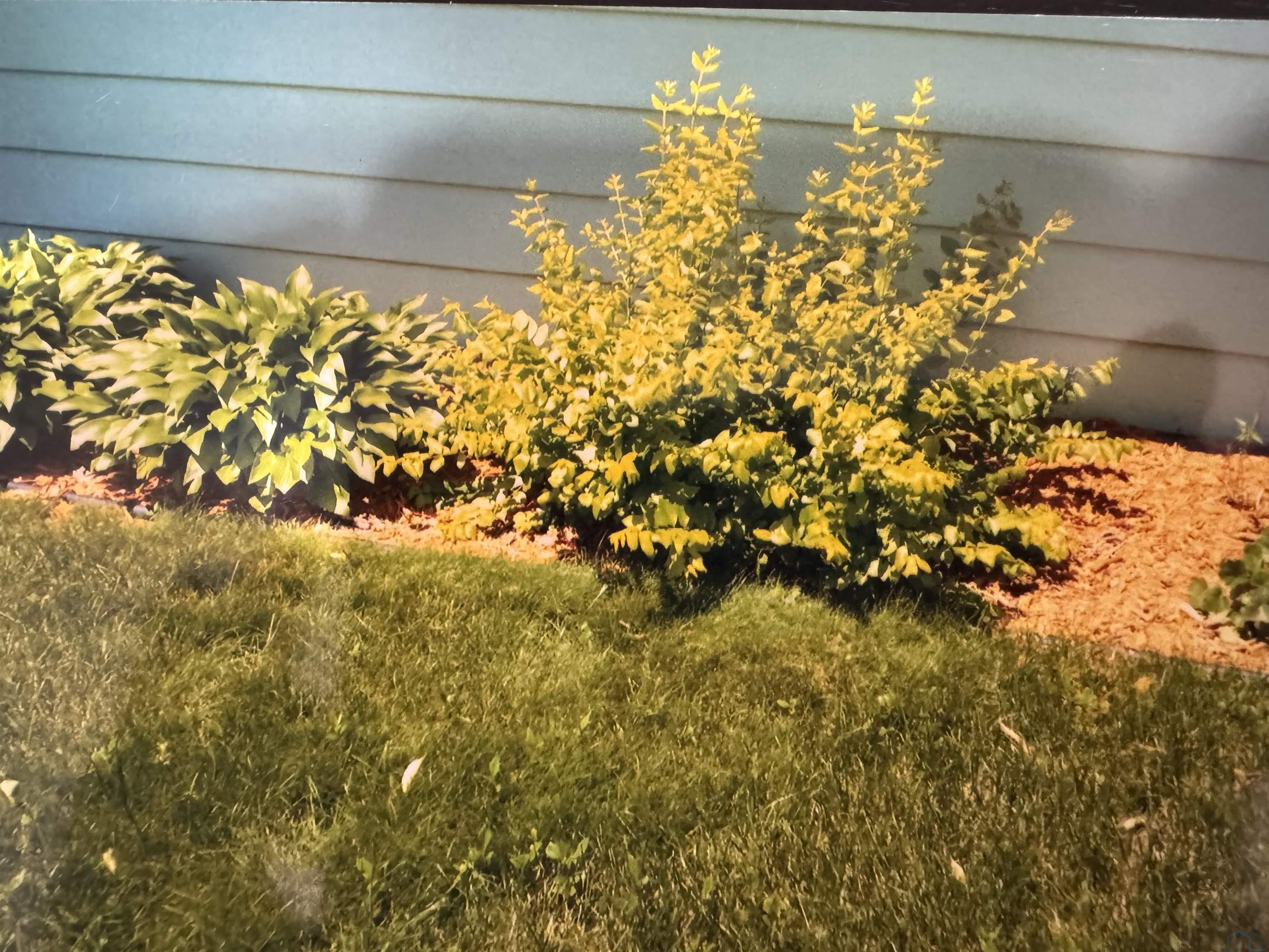 3606 Pierce Pl.