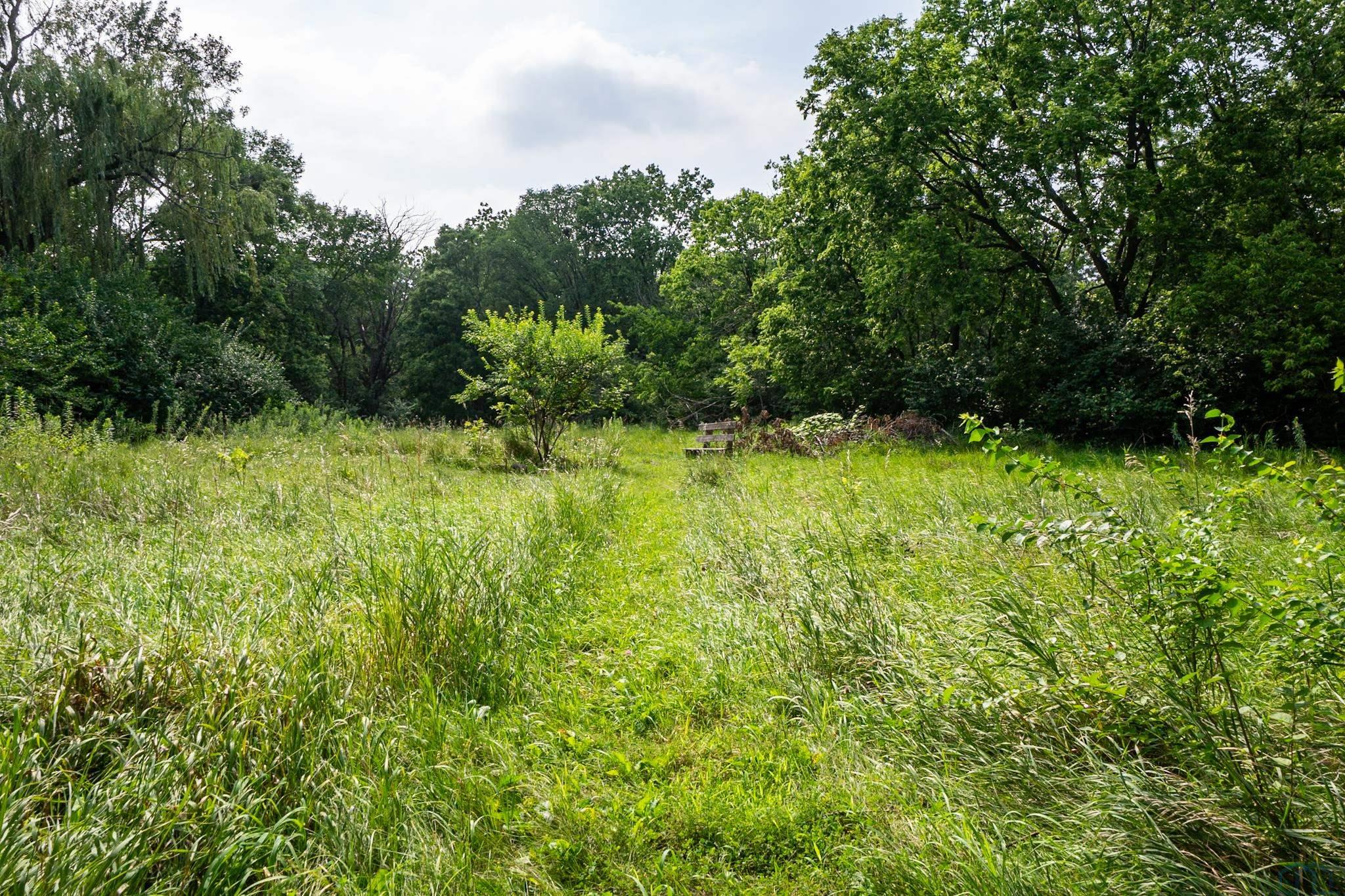 32365 GREEN AVE