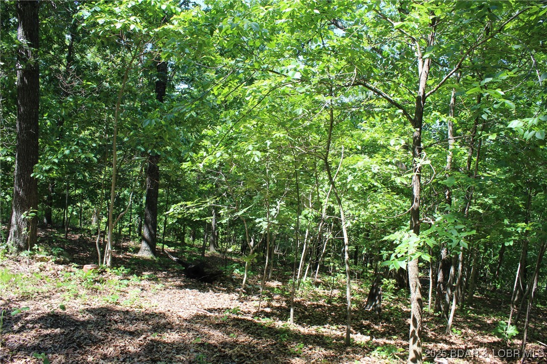 31894 South Buck Creek Road