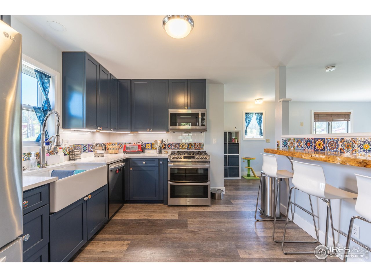 519 Palisade Mountain Dr