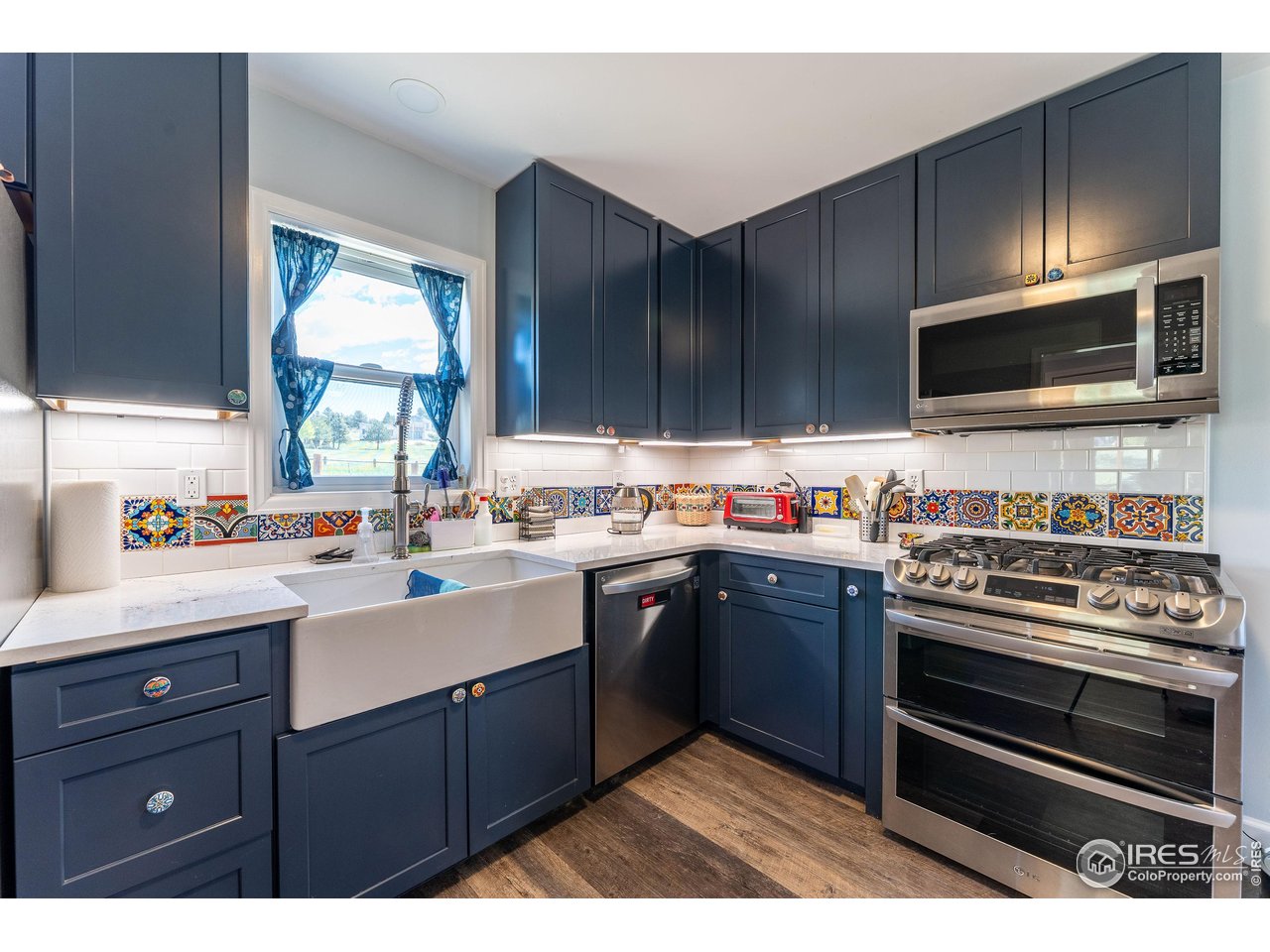 519 Palisade Mountain Dr