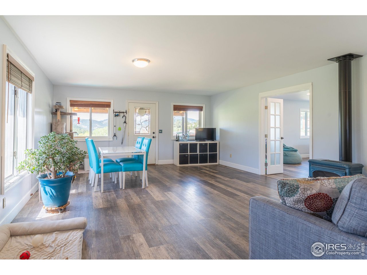 519 Palisade Mountain Dr