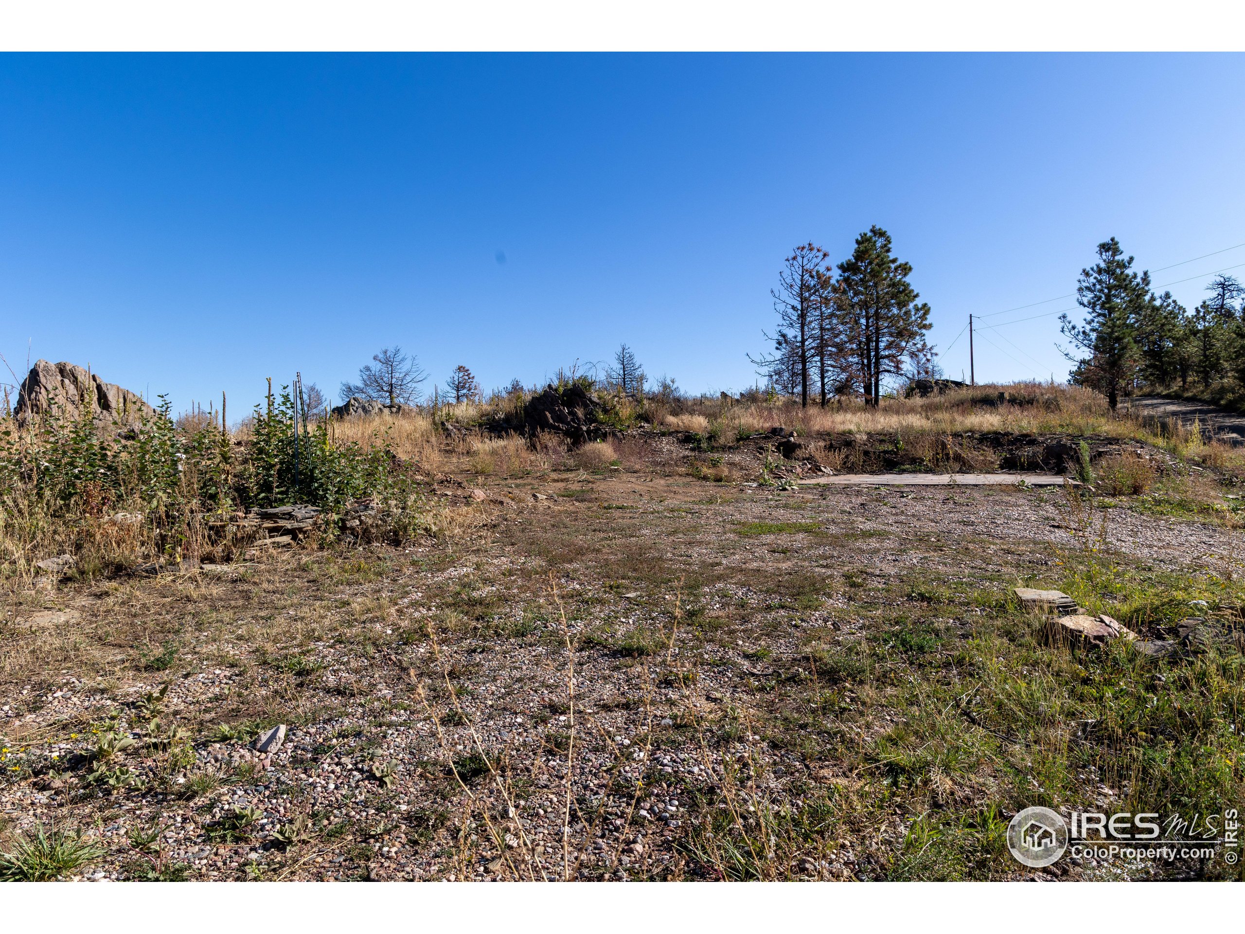 981 Palisade Mountain Dr