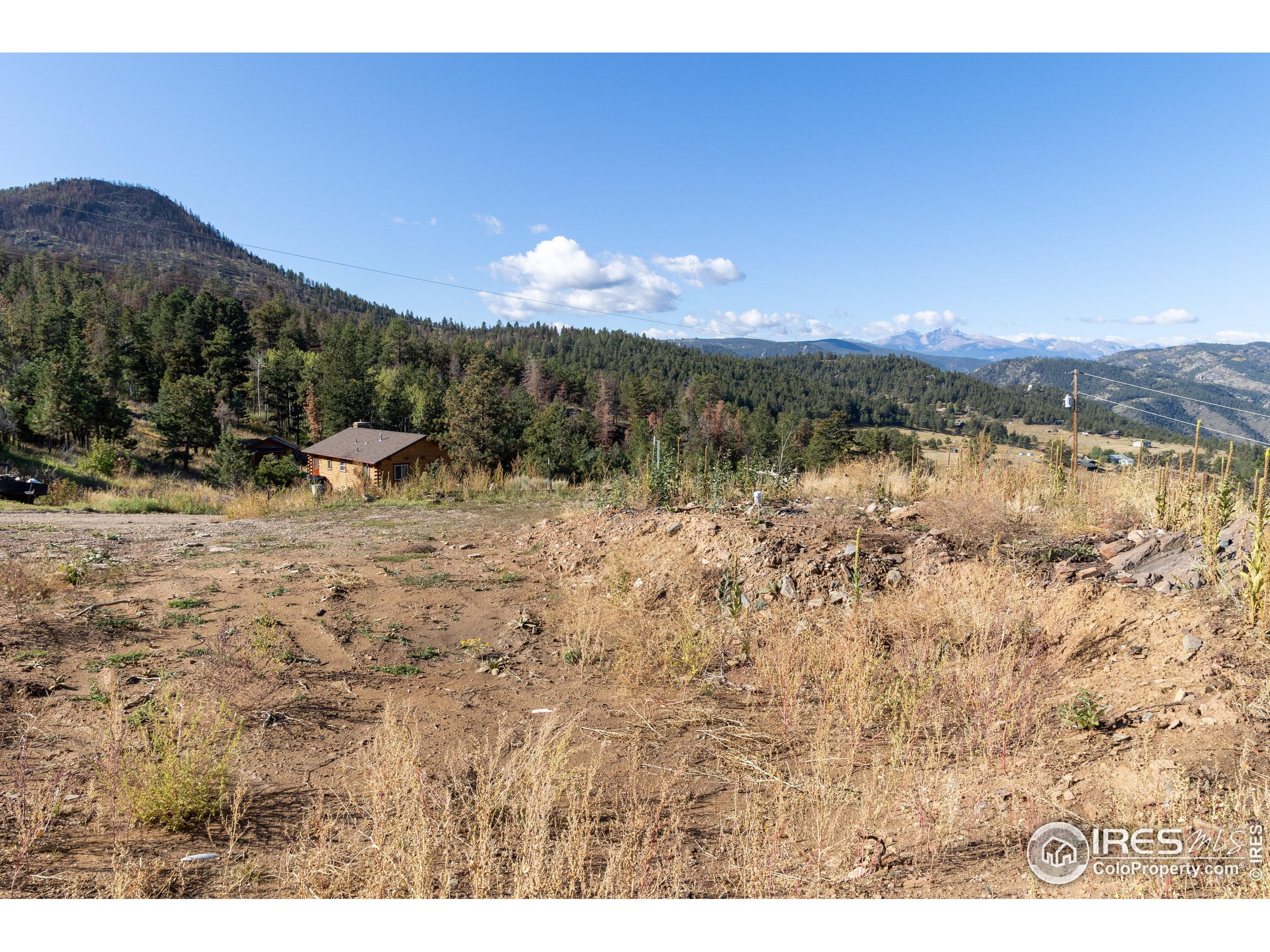 981 Palisade Mountain Dr