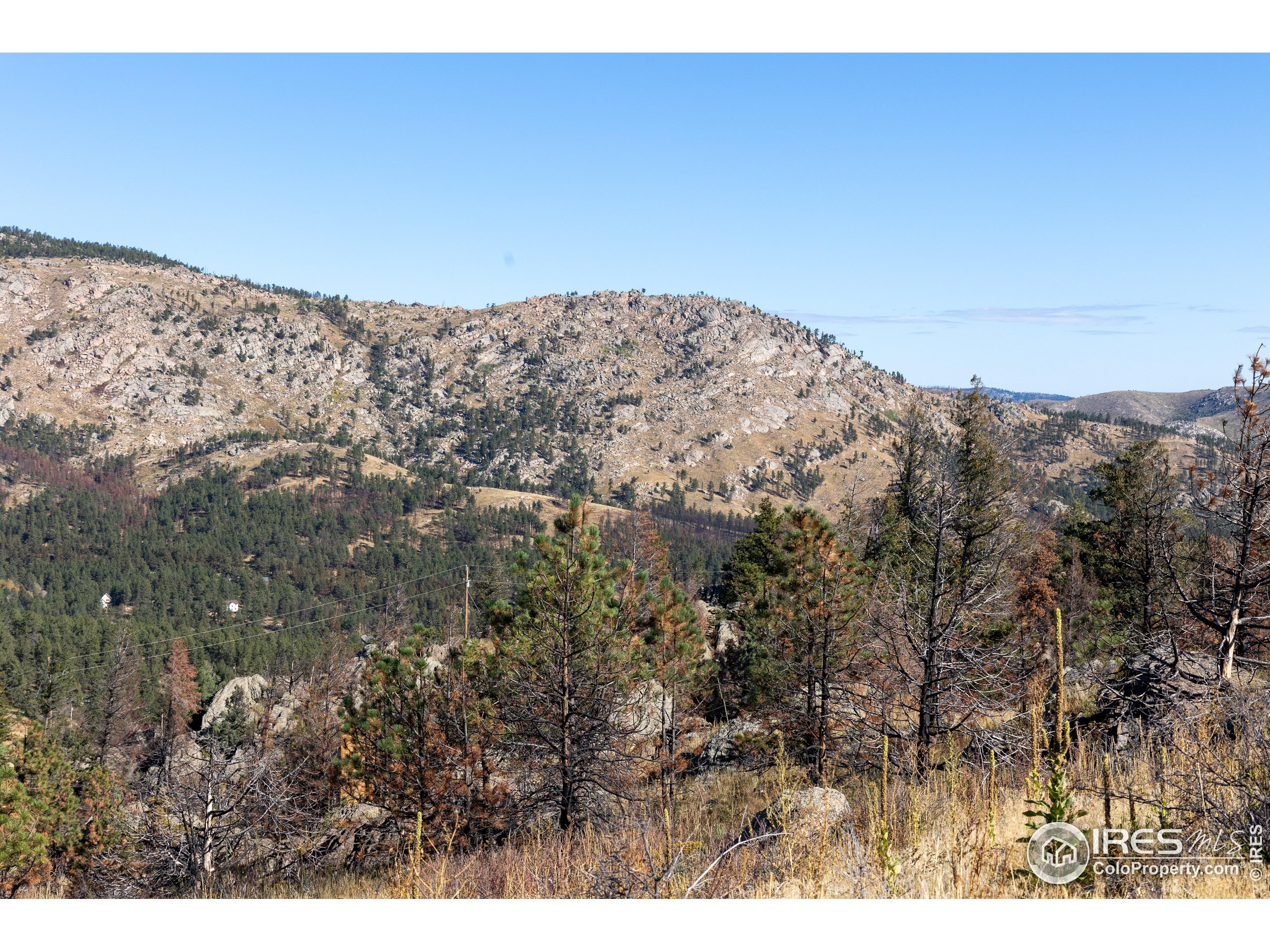 981 Palisade Mountain Dr