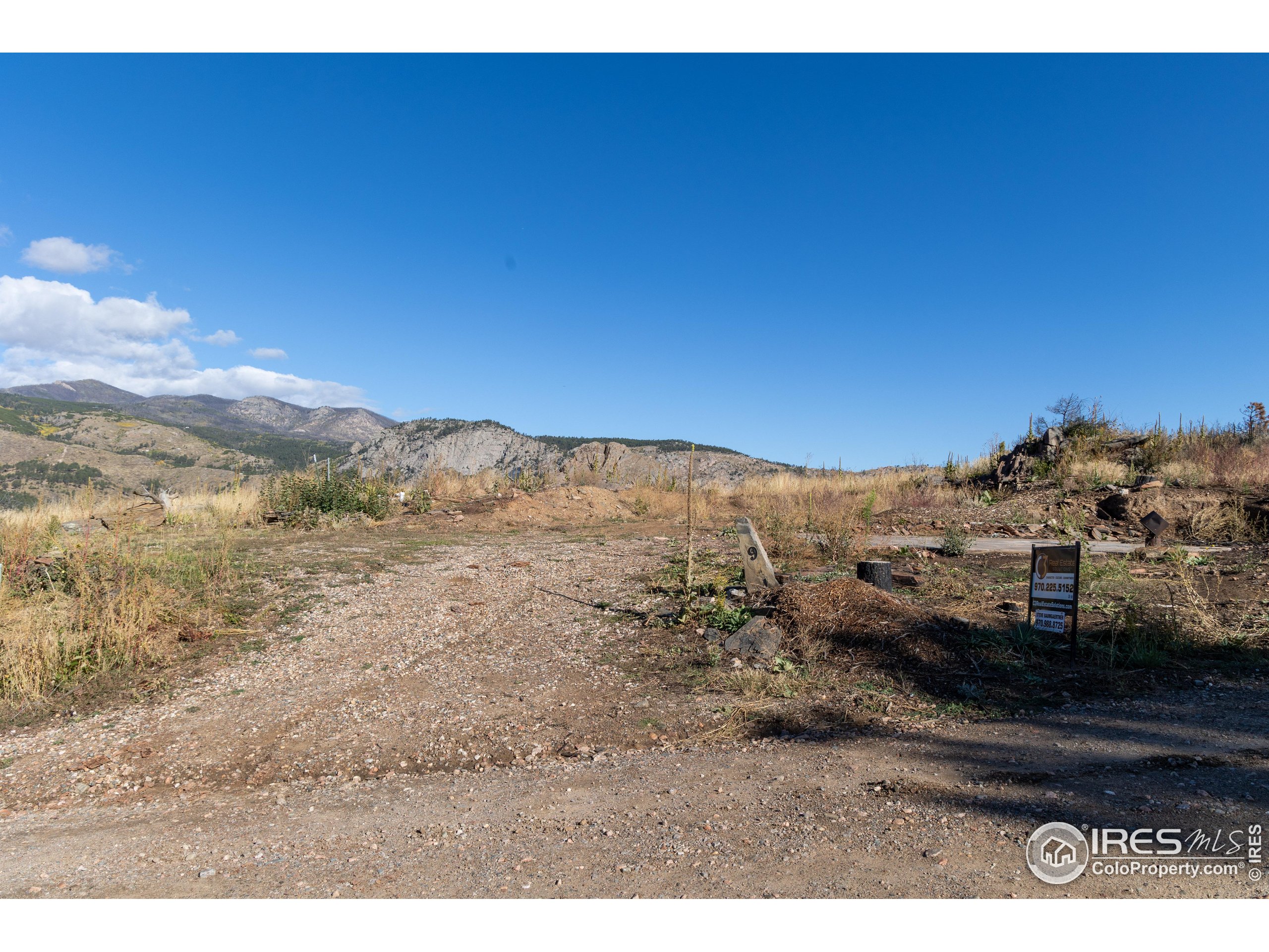 981 Palisade Mountain Dr