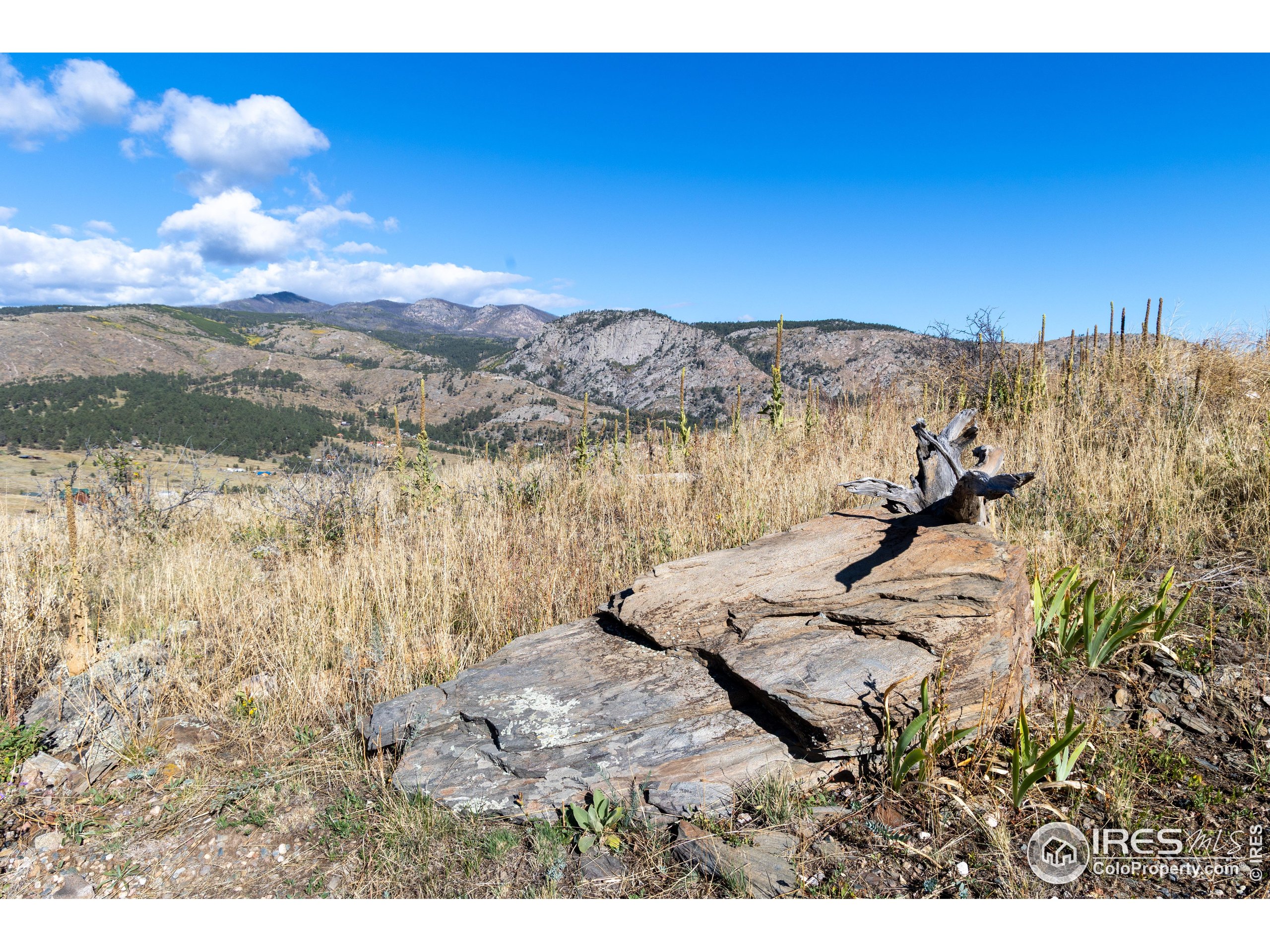 981 Palisade Mountain Dr