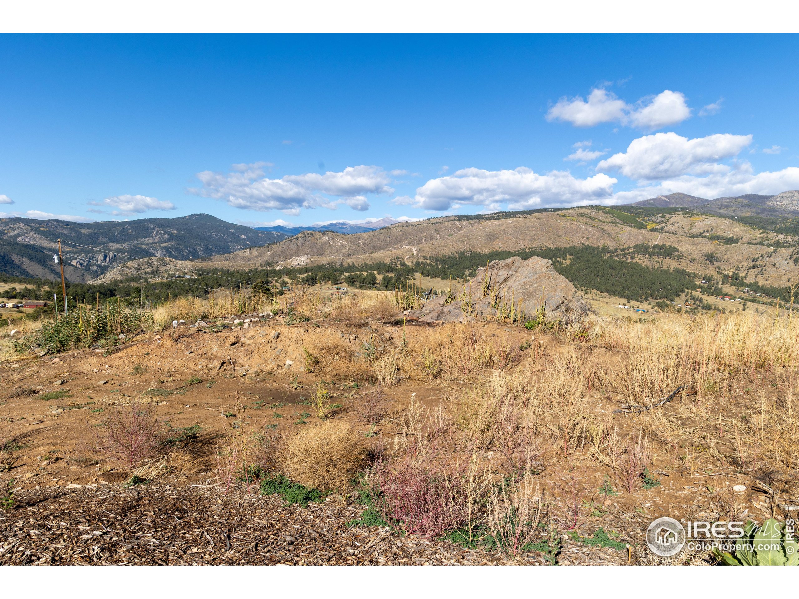 981 Palisade Mountain Dr