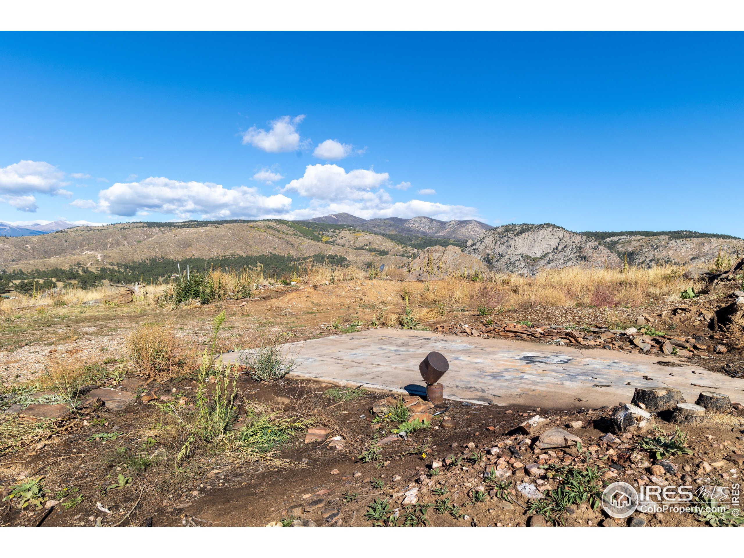 981 Palisade Mountain Dr