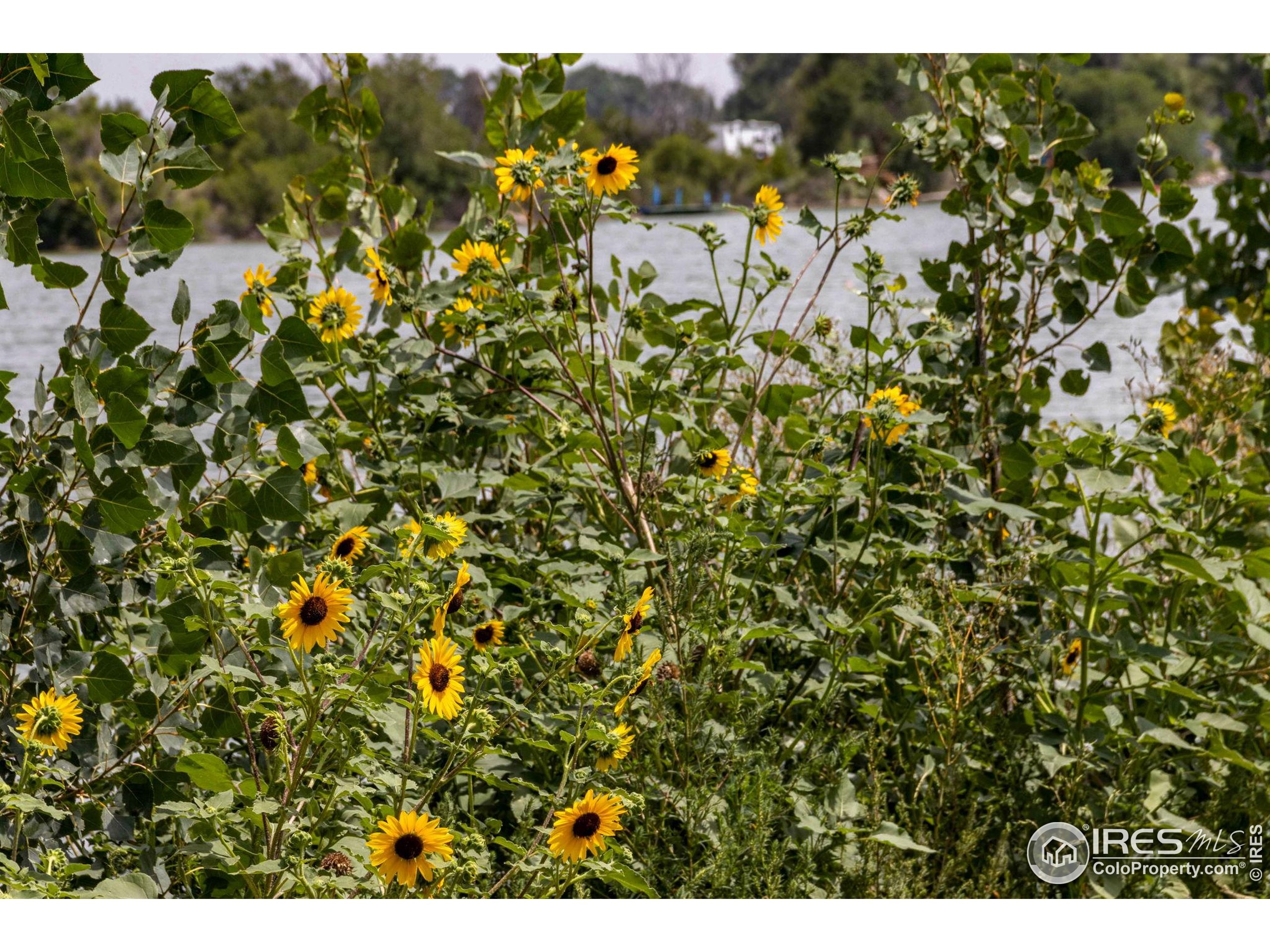 727 E 27th St Greeley