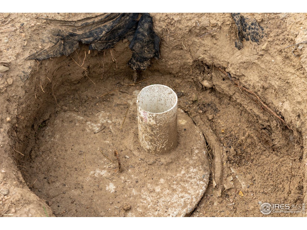 981 Palisade Mountain Dr