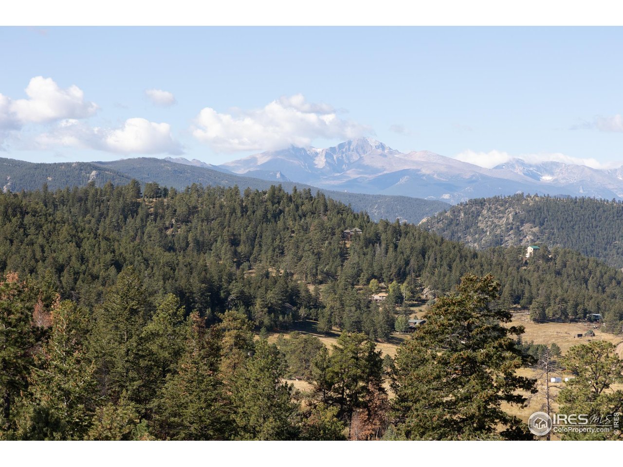 981 Palisade Mountain Dr