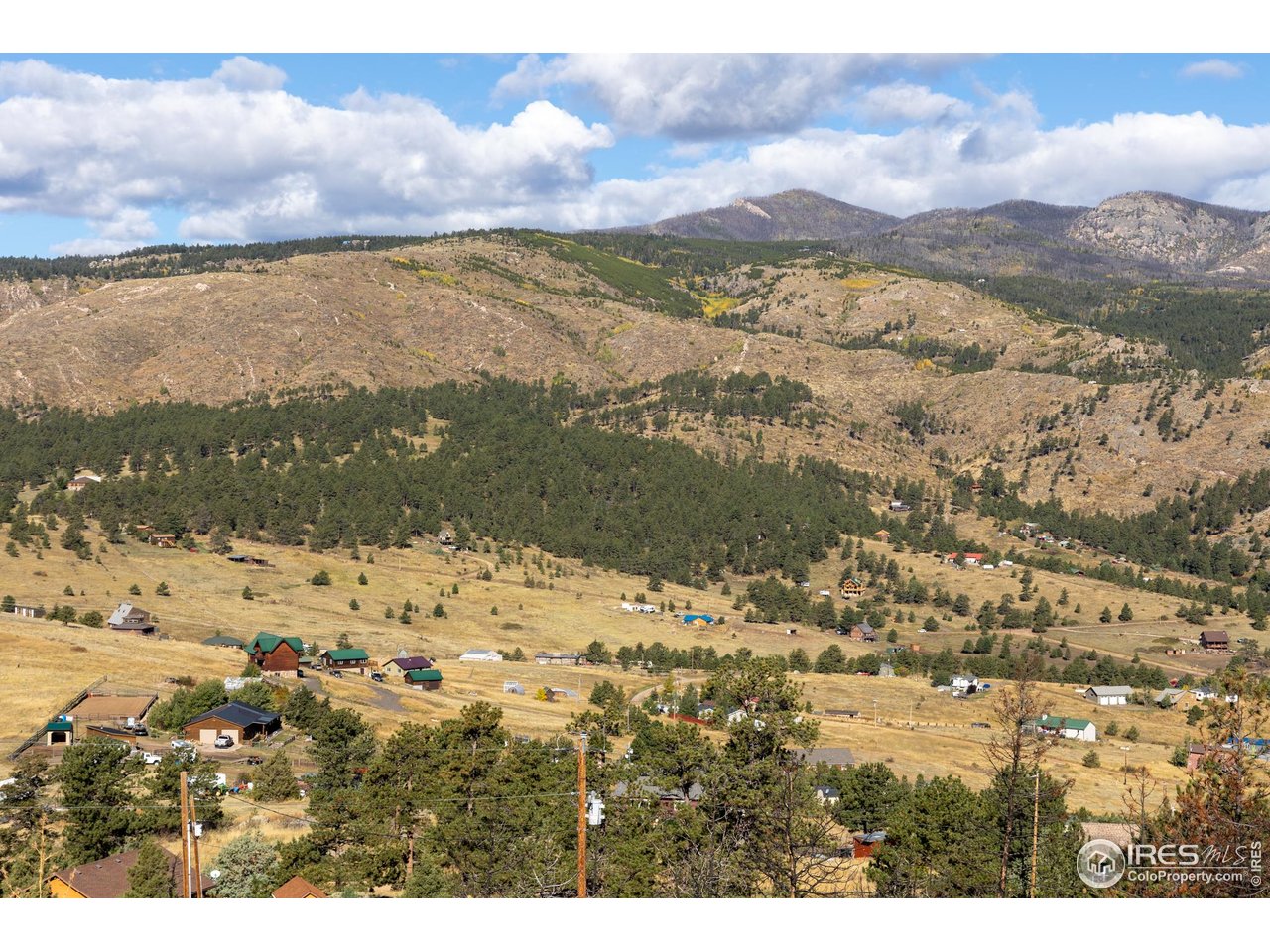 981 Palisade Mountain Dr