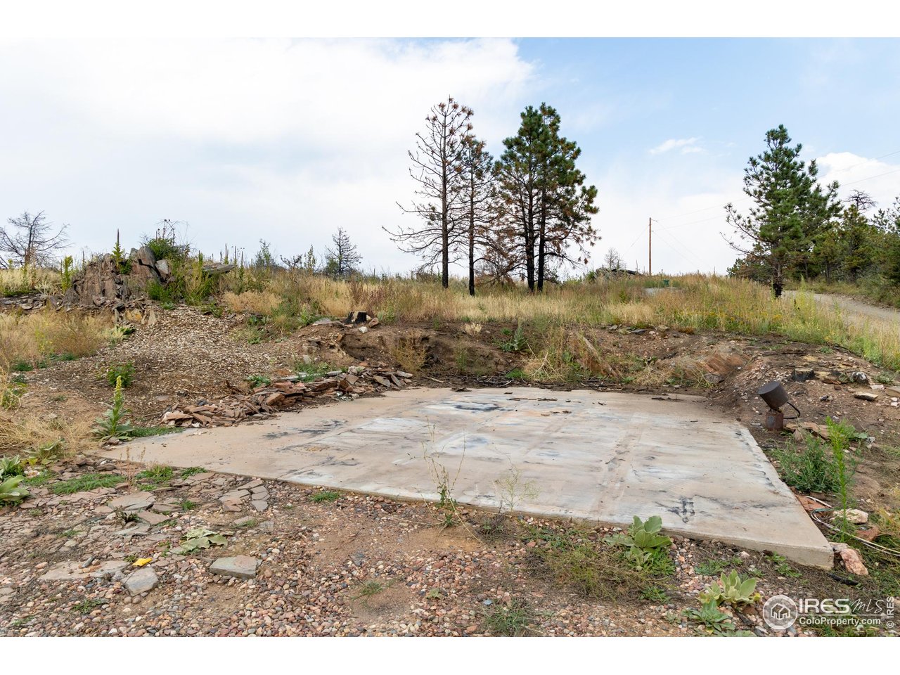 981 Palisade Mountain Dr