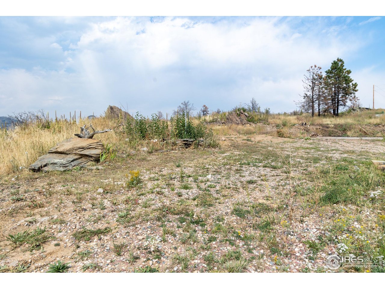 981 Palisade Mountain Dr