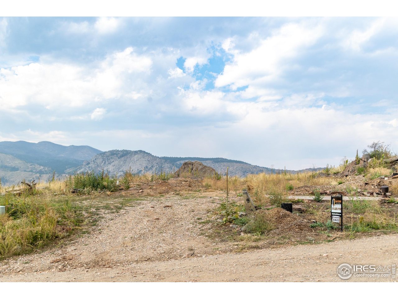 981 Palisade Mountain Dr