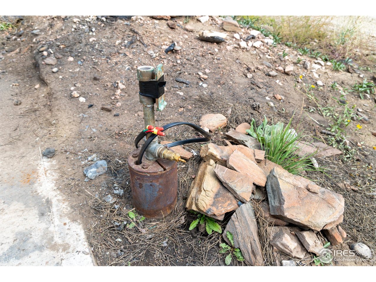 981 Palisade Mountain Dr