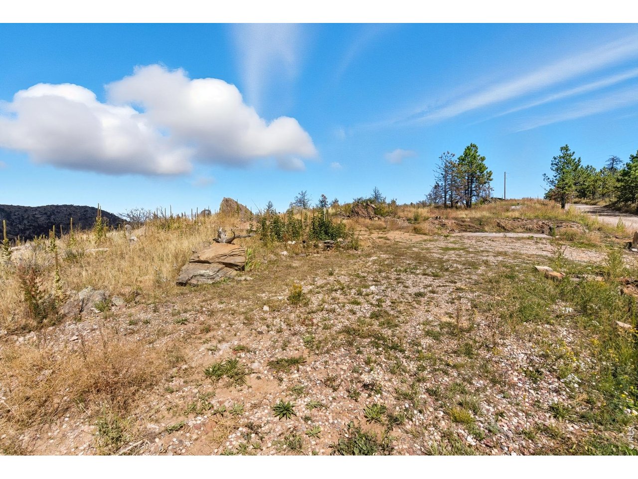 981 Palisade Mountain Dr
