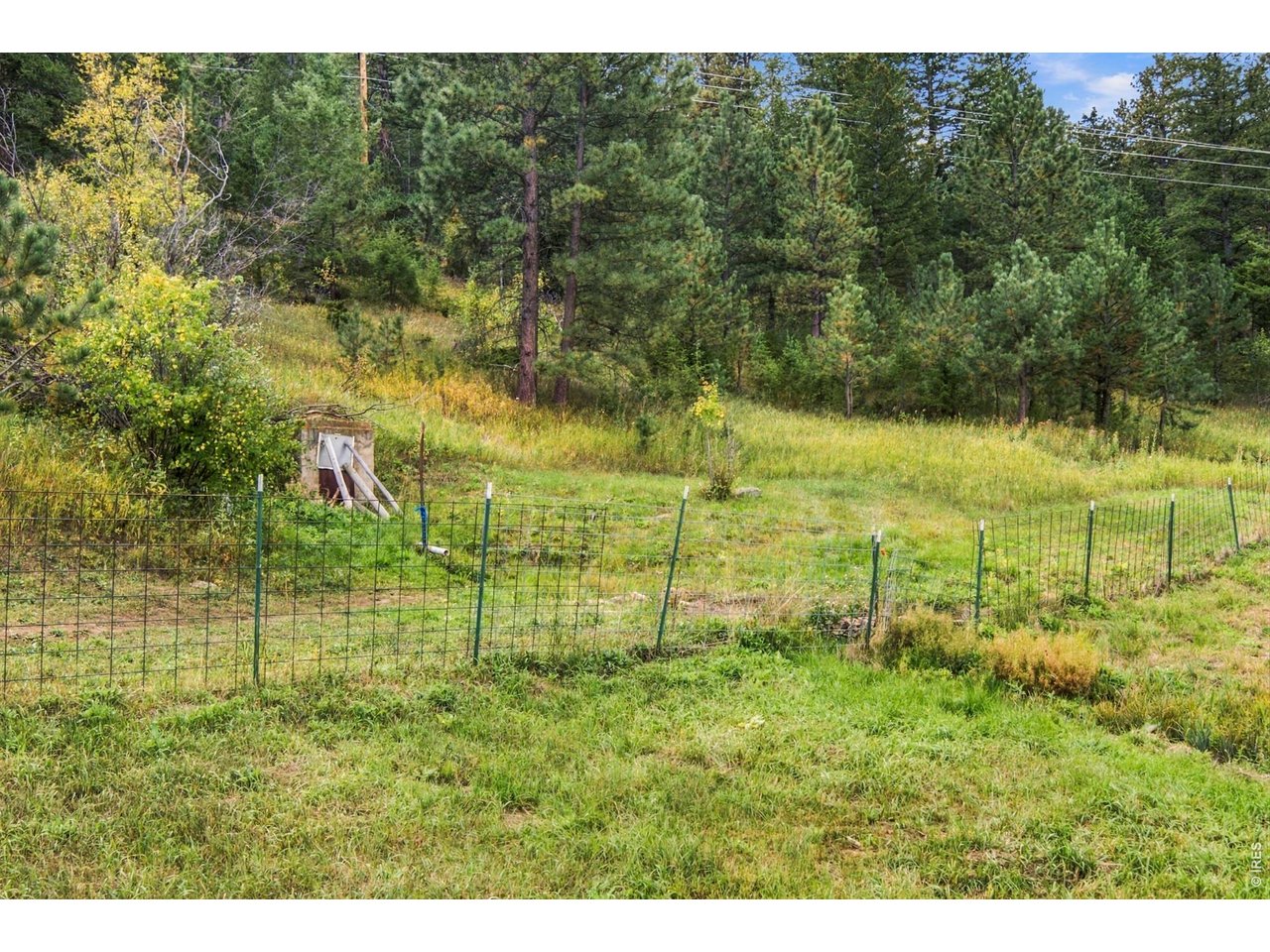 14133 Rist Canyon Rd