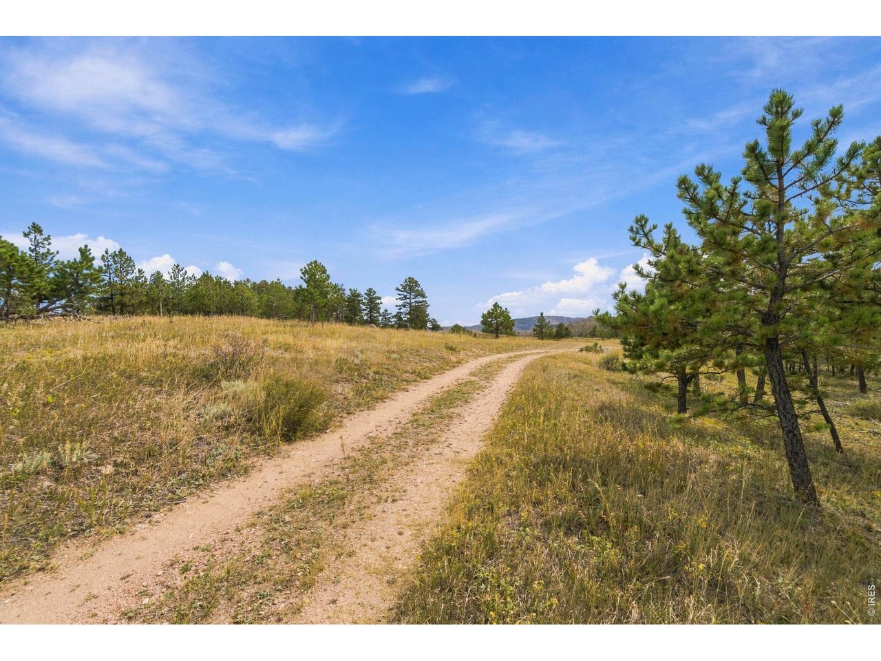 14133 Rist Canyon Rd