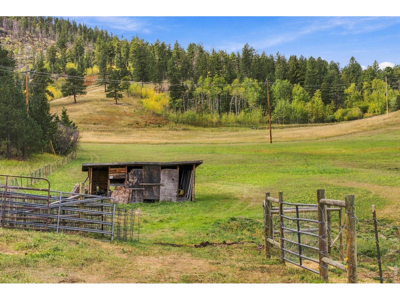 14133 Rist Canyon Rd