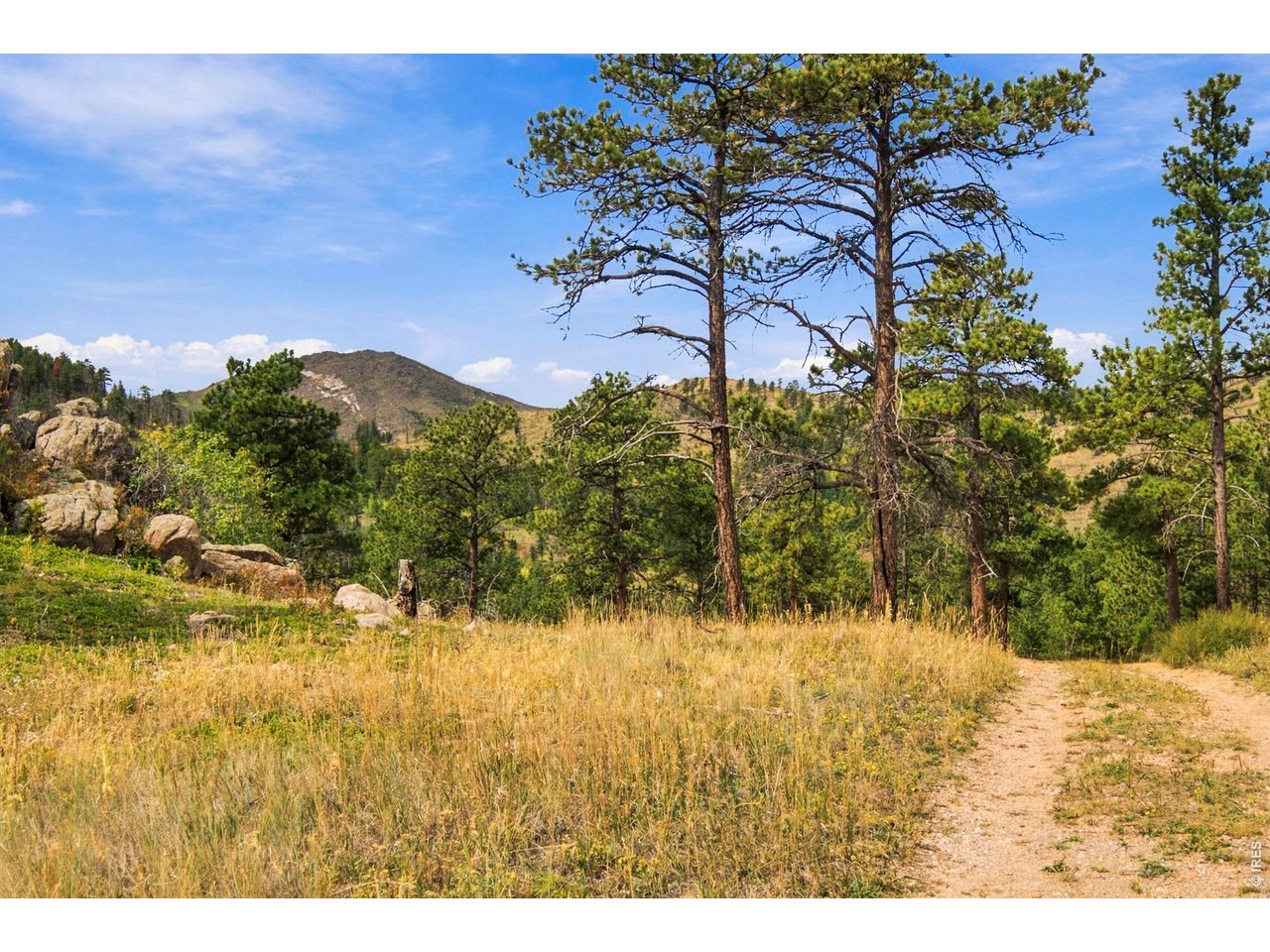 14133 Rist Canyon Rd
