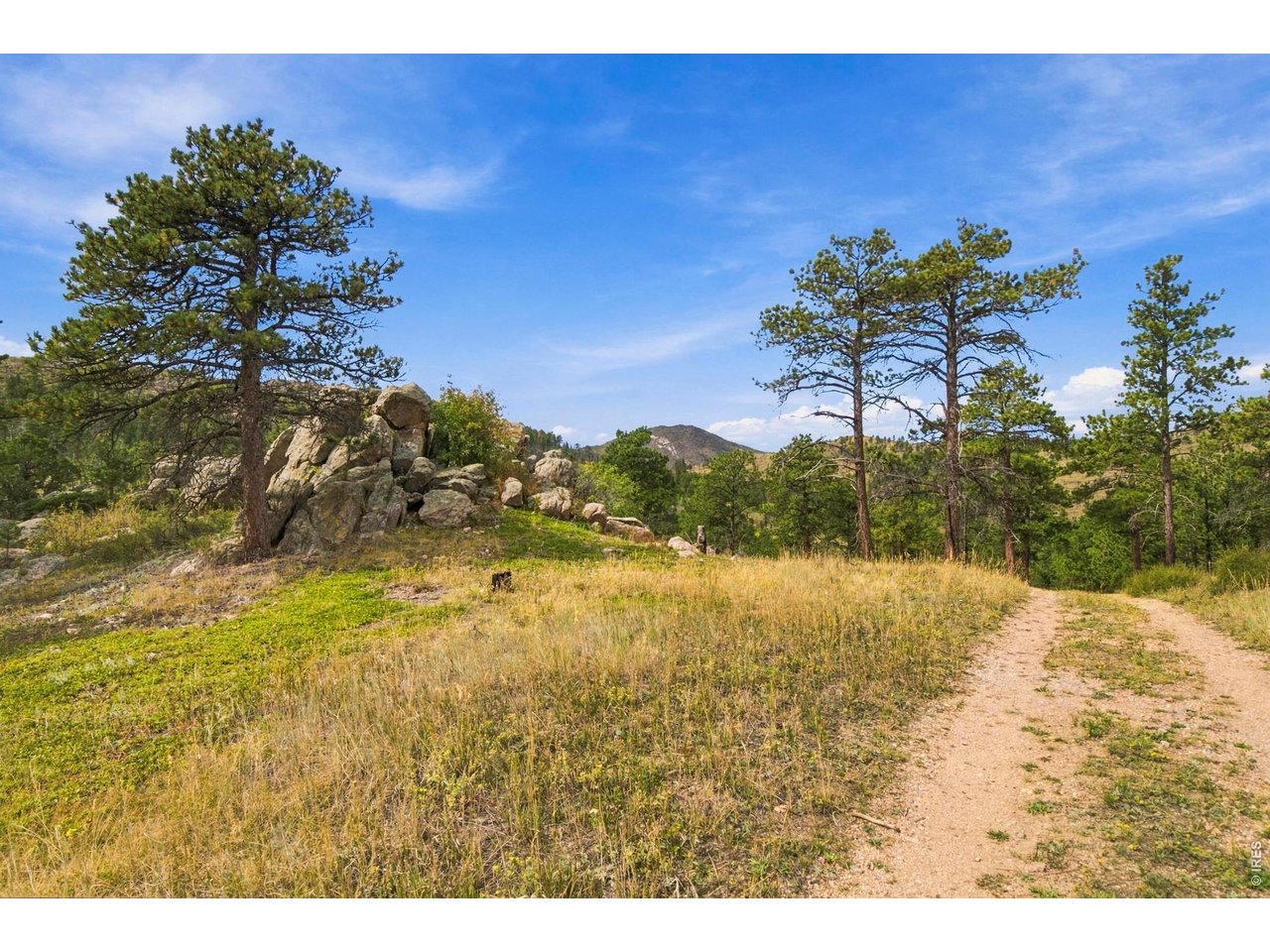 14133 Rist Canyon Rd