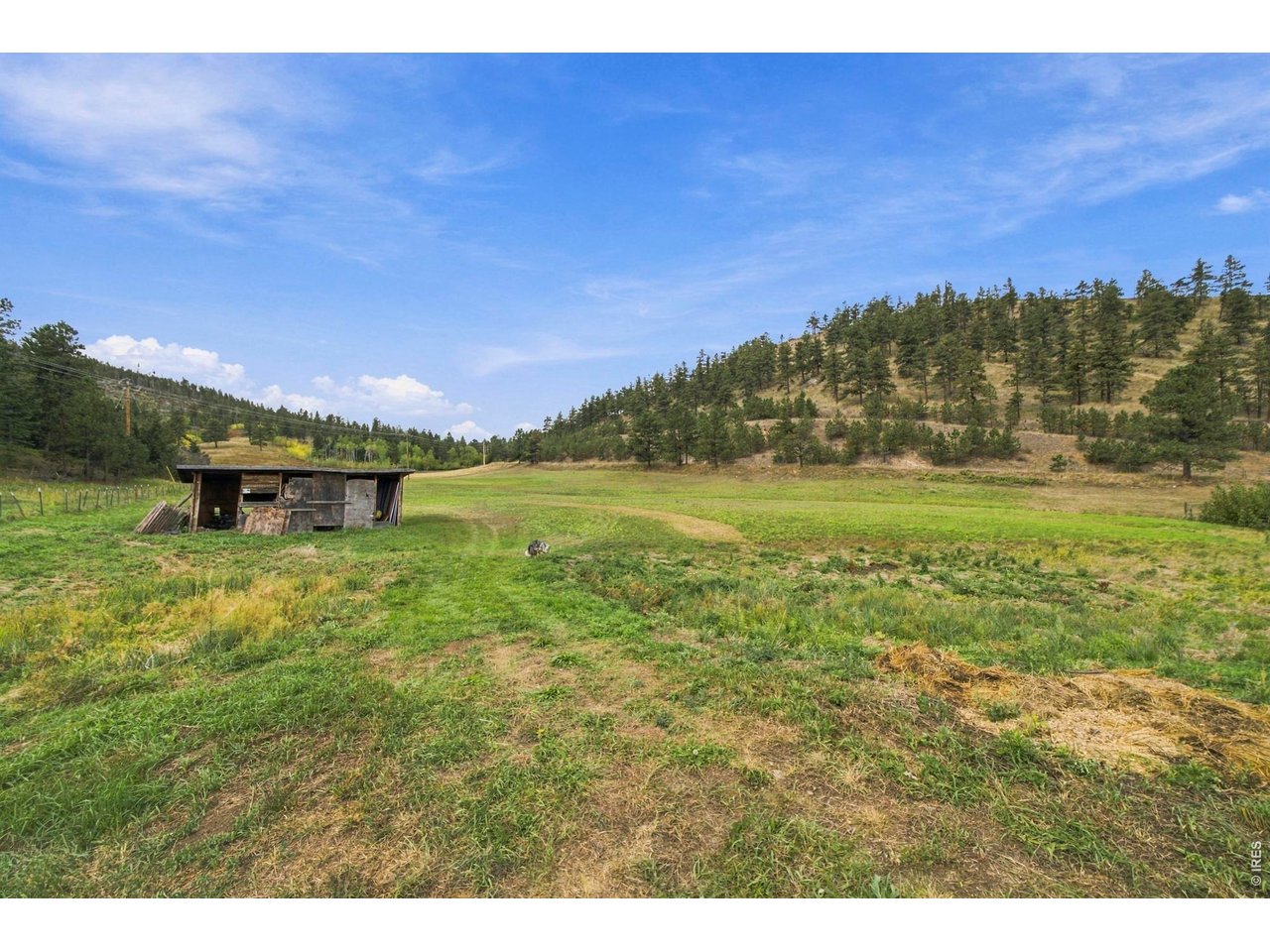 14133 Rist Canyon Rd